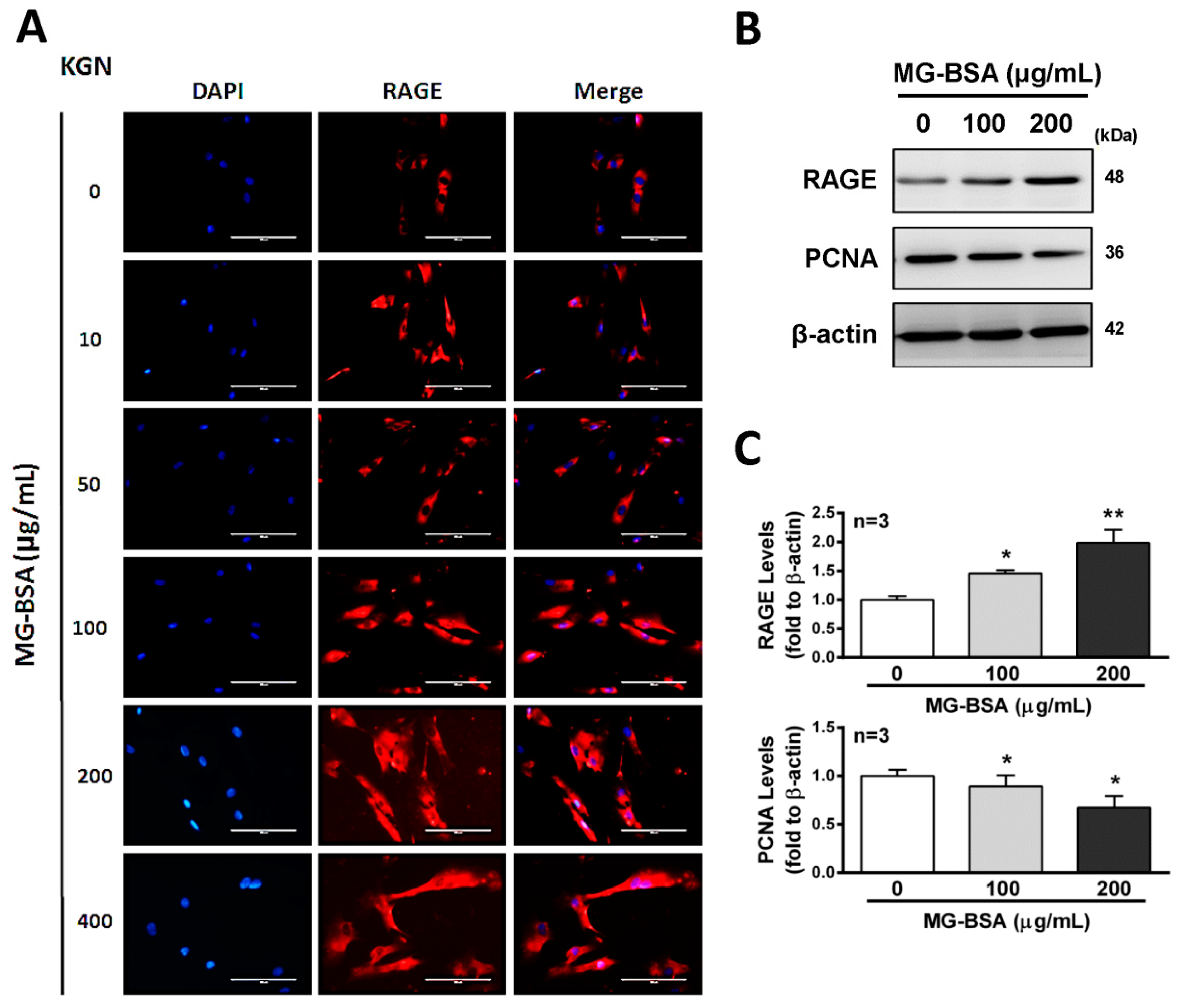 Biomolecules 09 00327 g003