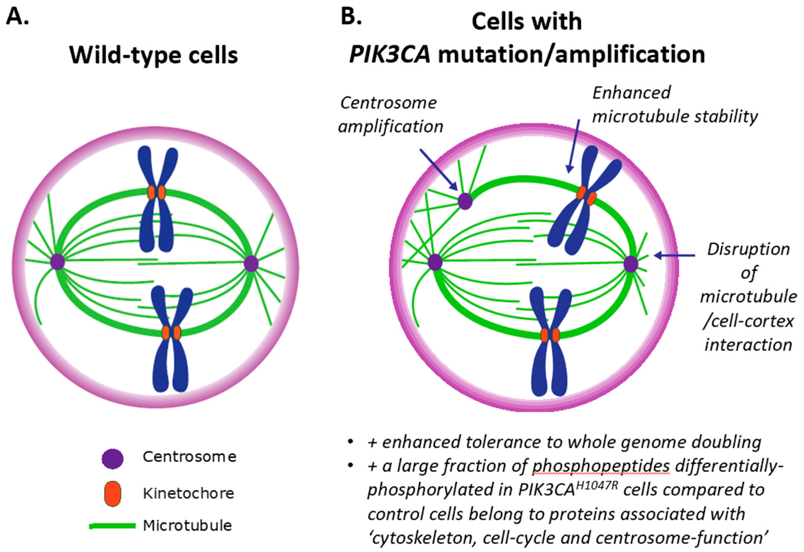 Biomolecules 09 00331 g002