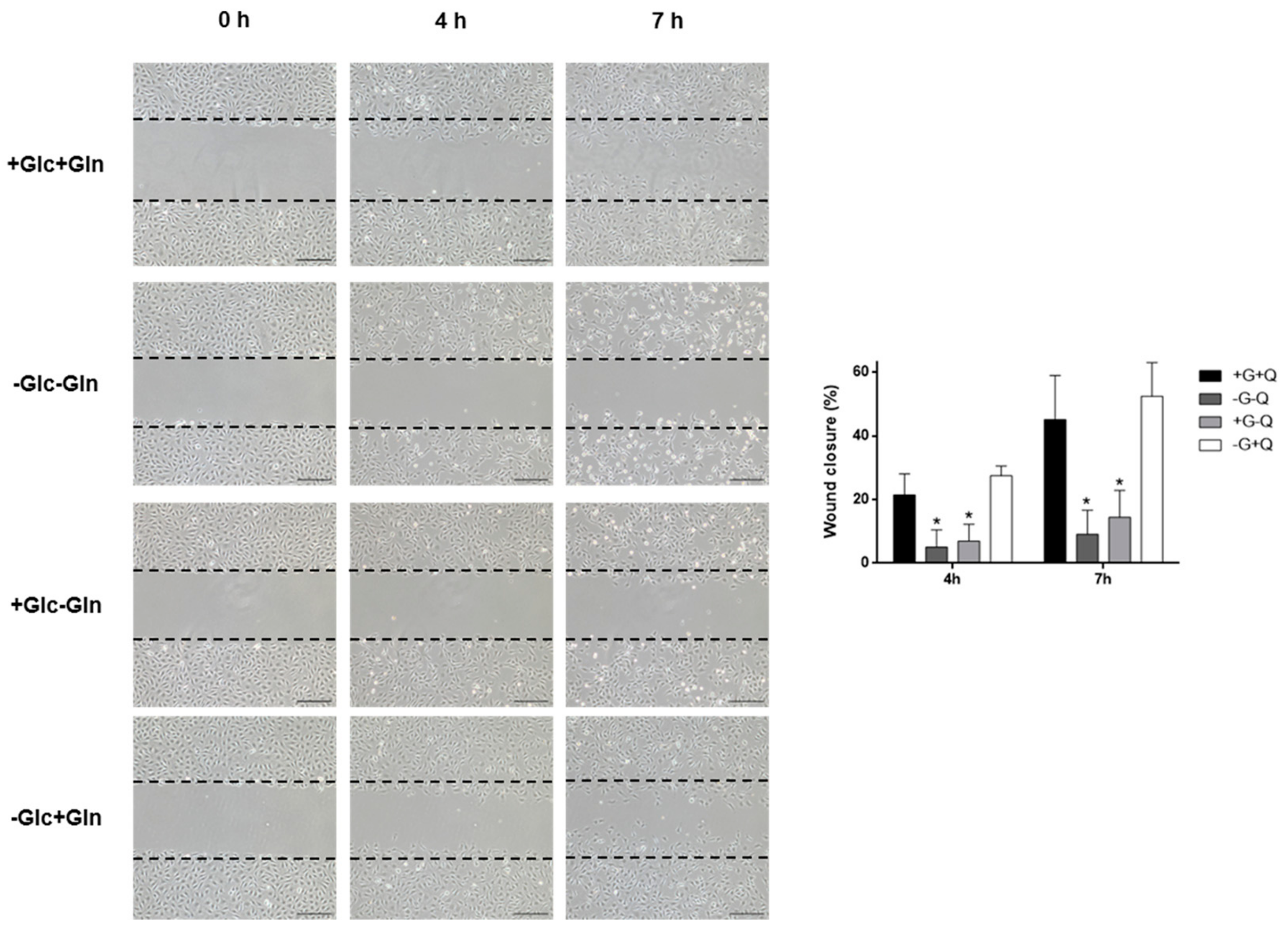 Biomolecules 09 00332 g003