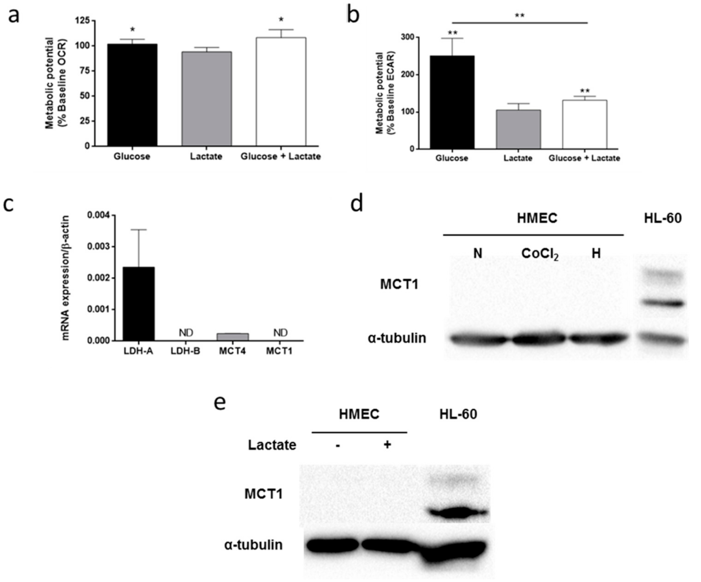 Biomolecules 09 00332 g008