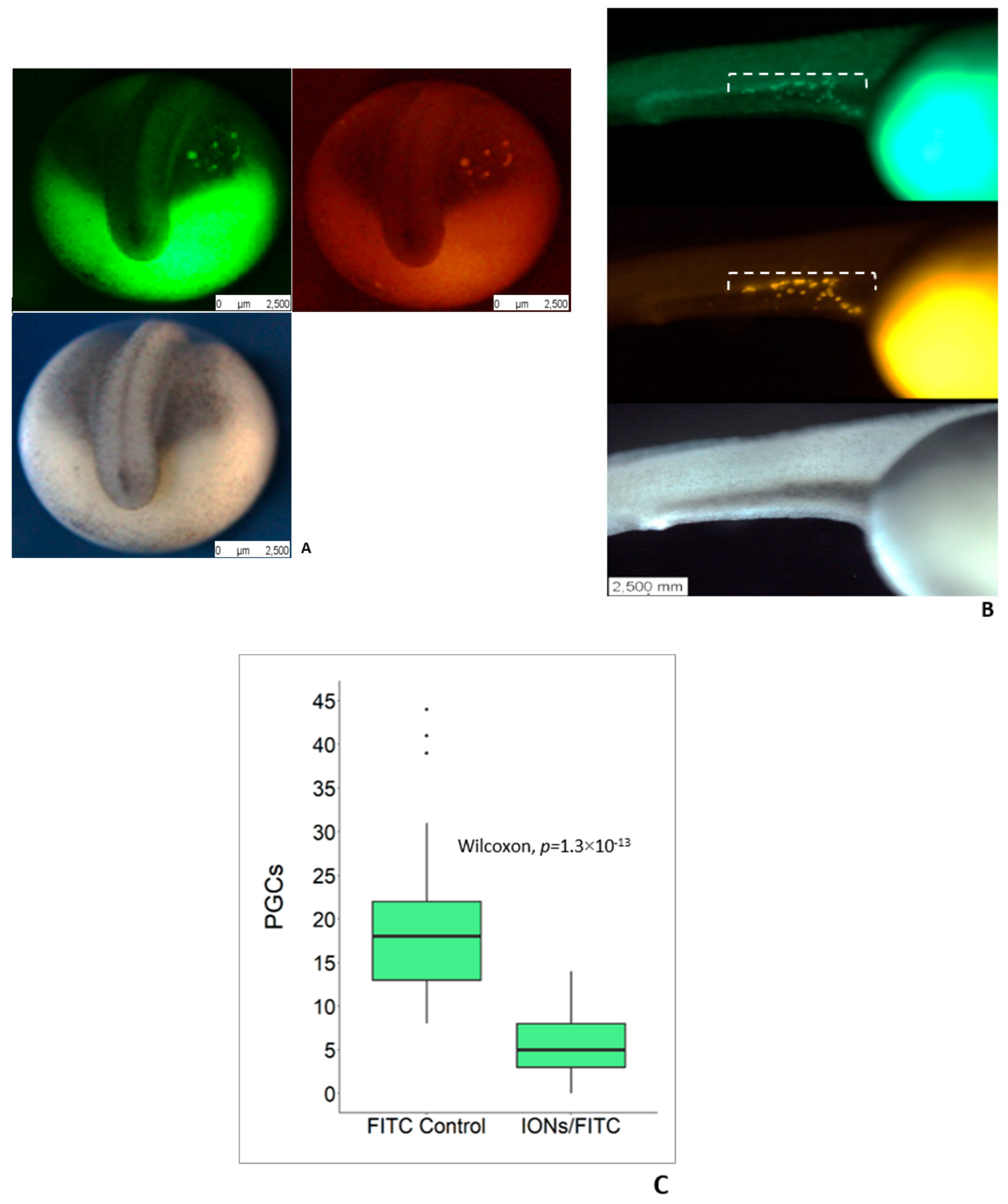 Biomolecules 09 00333 g002