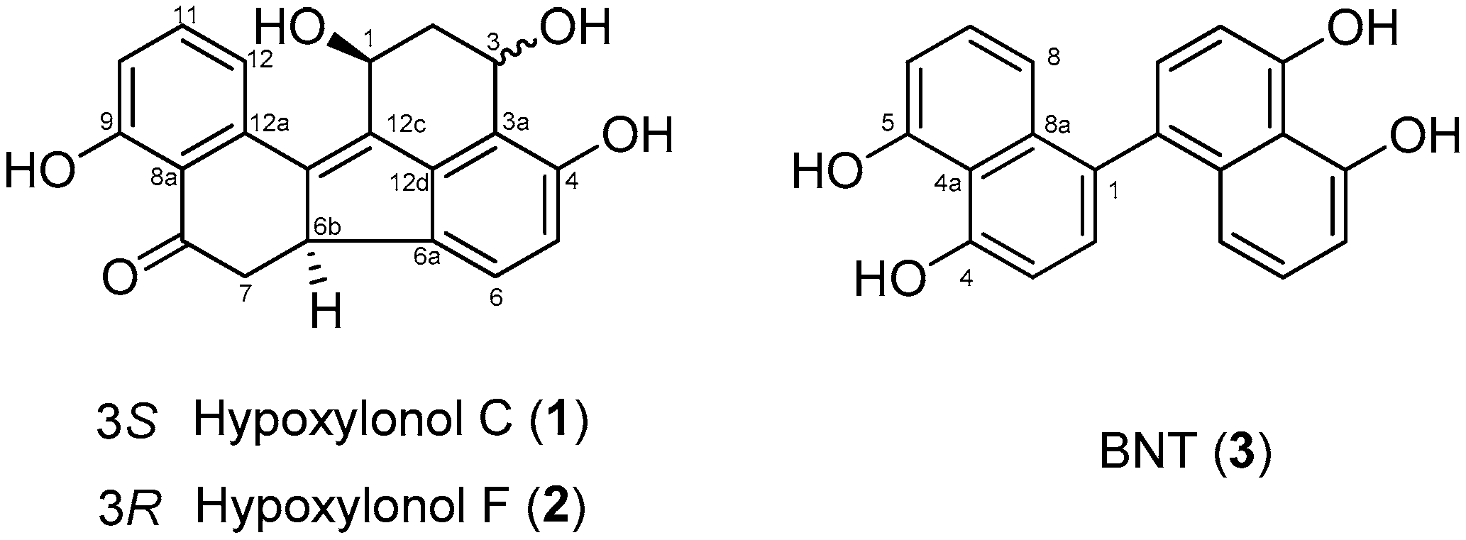 Biomolecules 09 00335 g001 Biomolecules 09 00335 g001