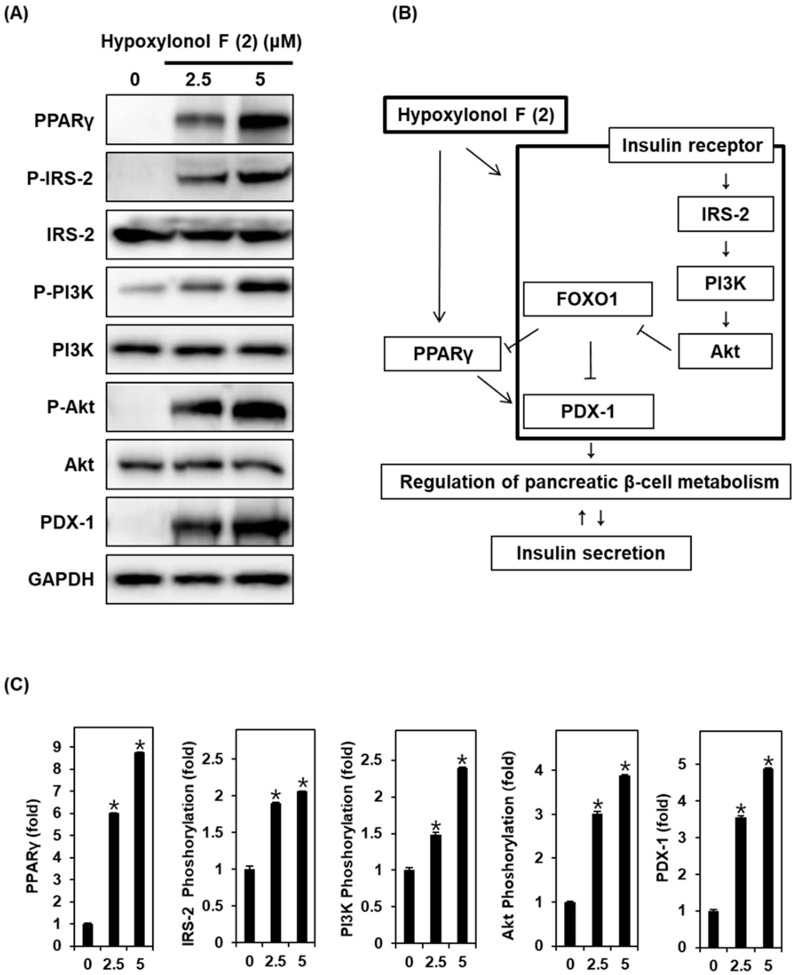 Biomolecules 09 00335 g004 Biomolecules 09 00335 g004