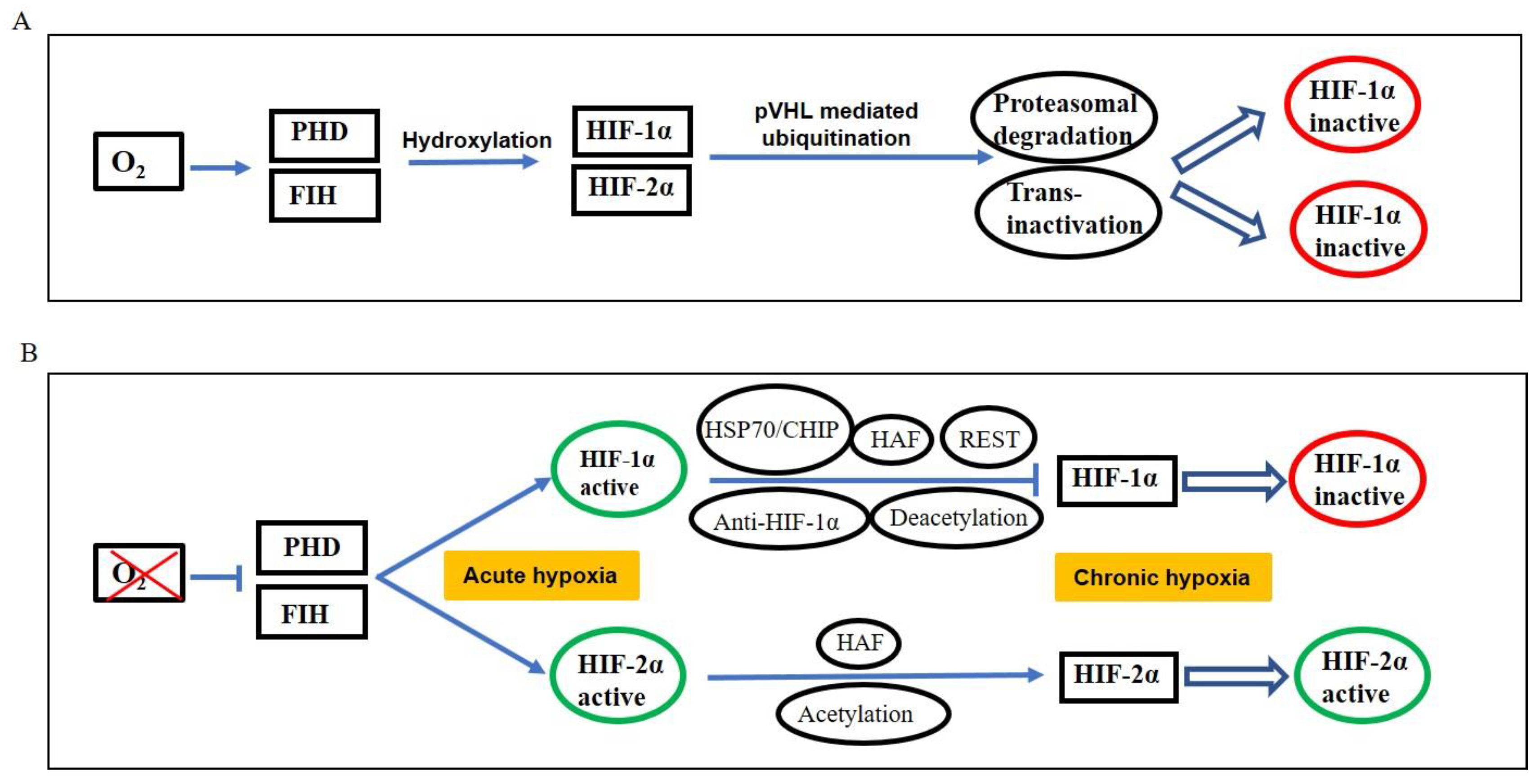 Biomolecules 09 00339 g001