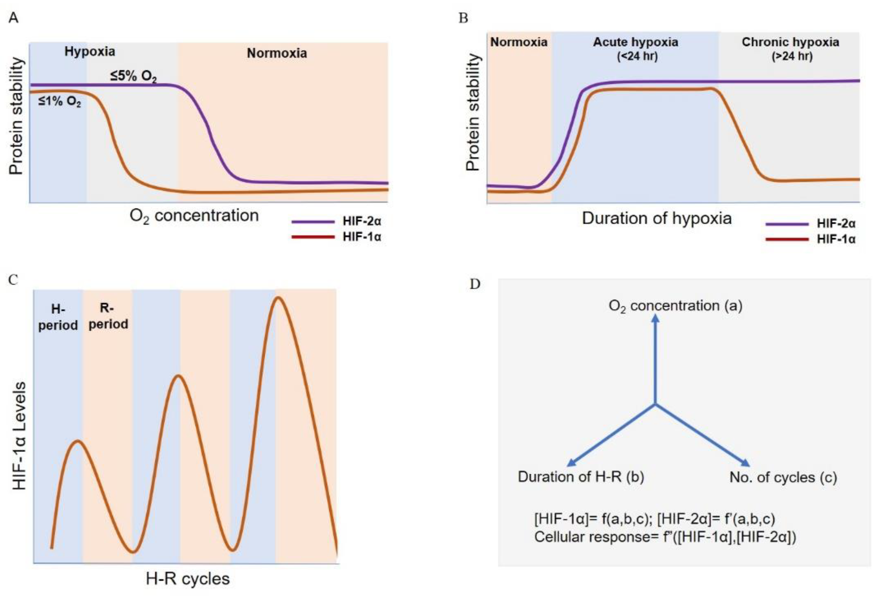 Biomolecules 09 00339 g002