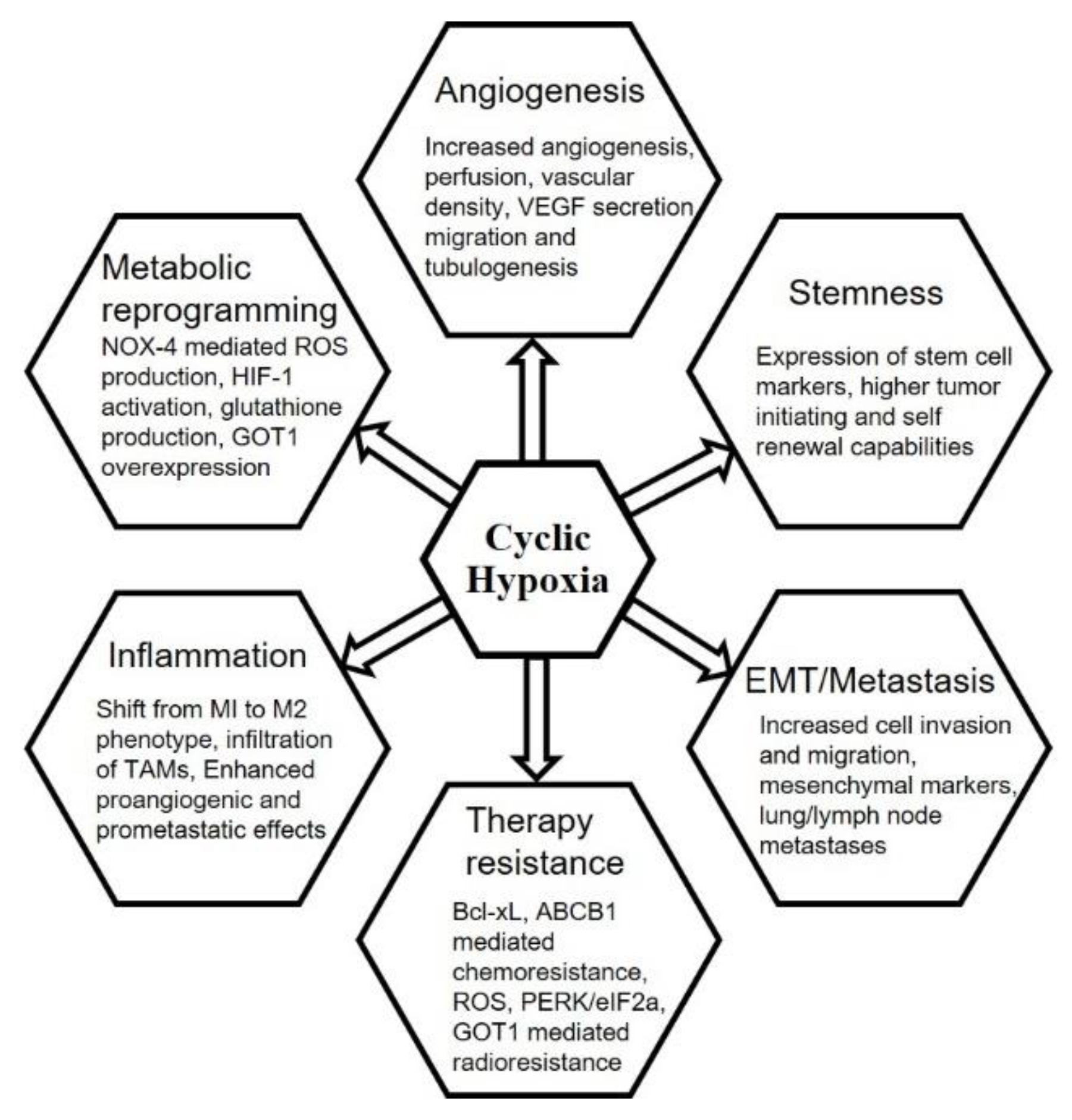 Biomolecules 09 00339 g003
