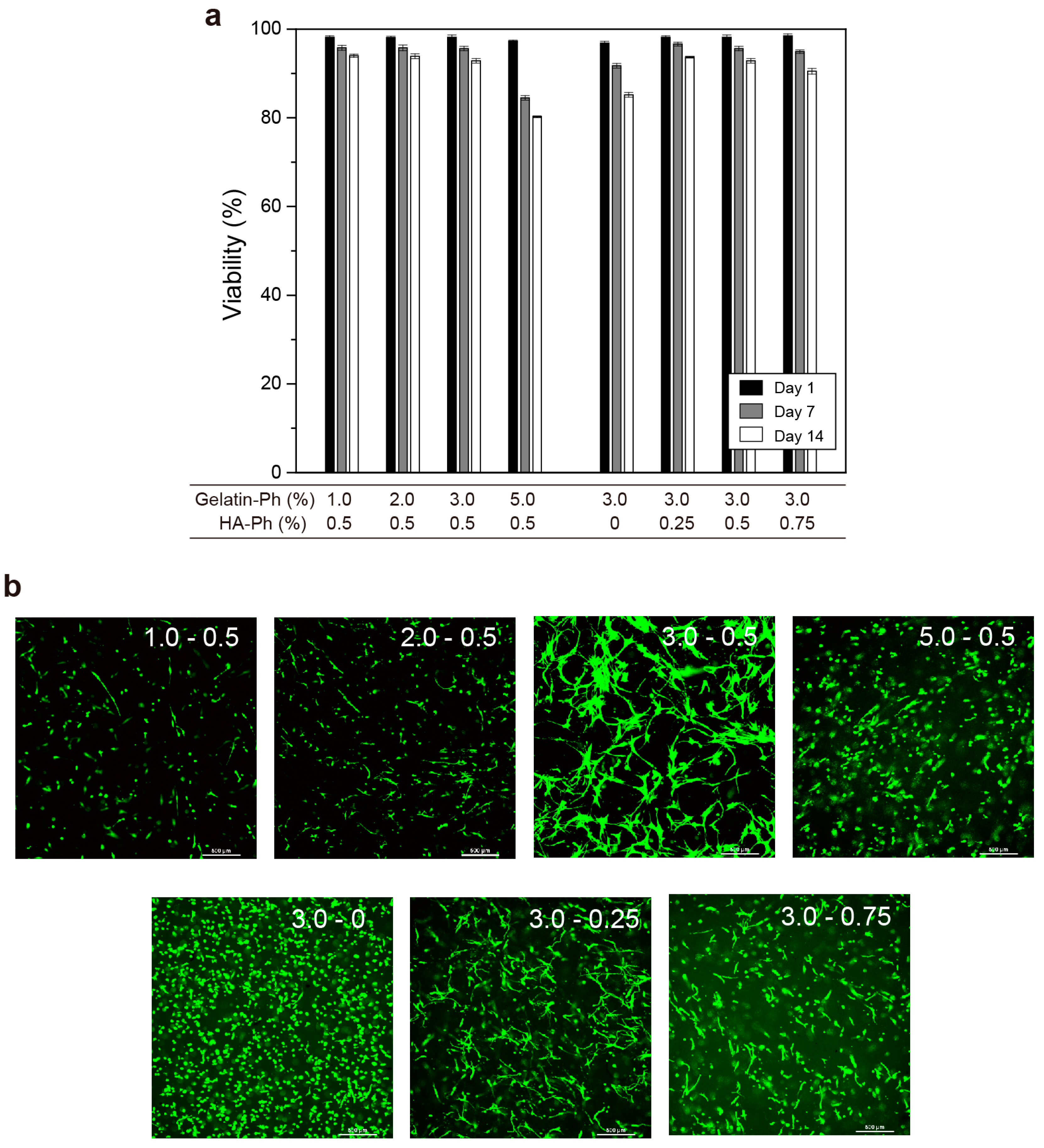 Biomolecules 09 00342 g007