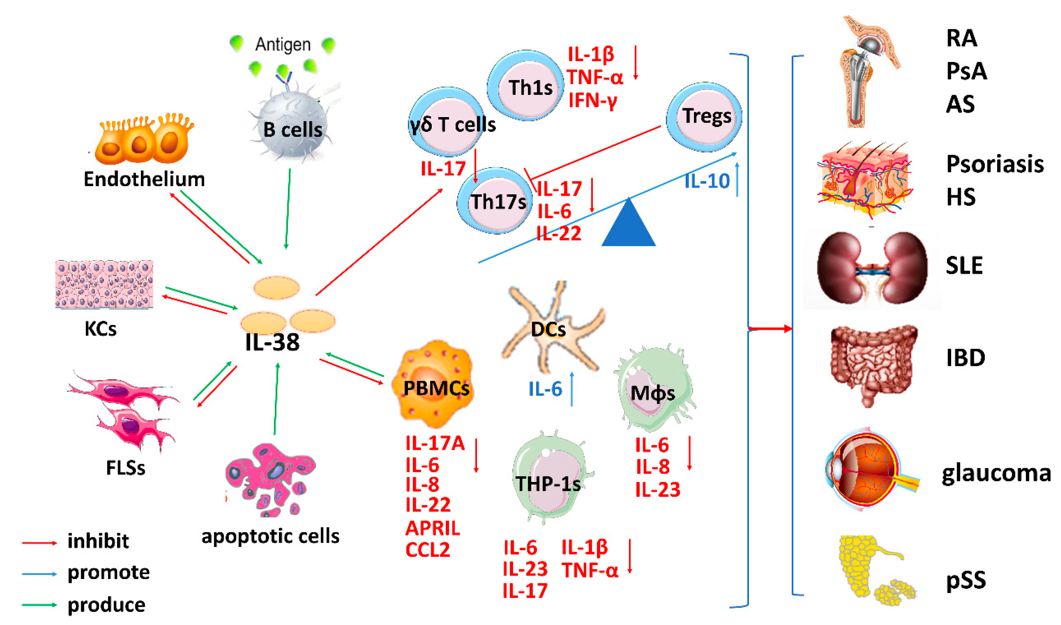 Biomolecules 09 00345 g002