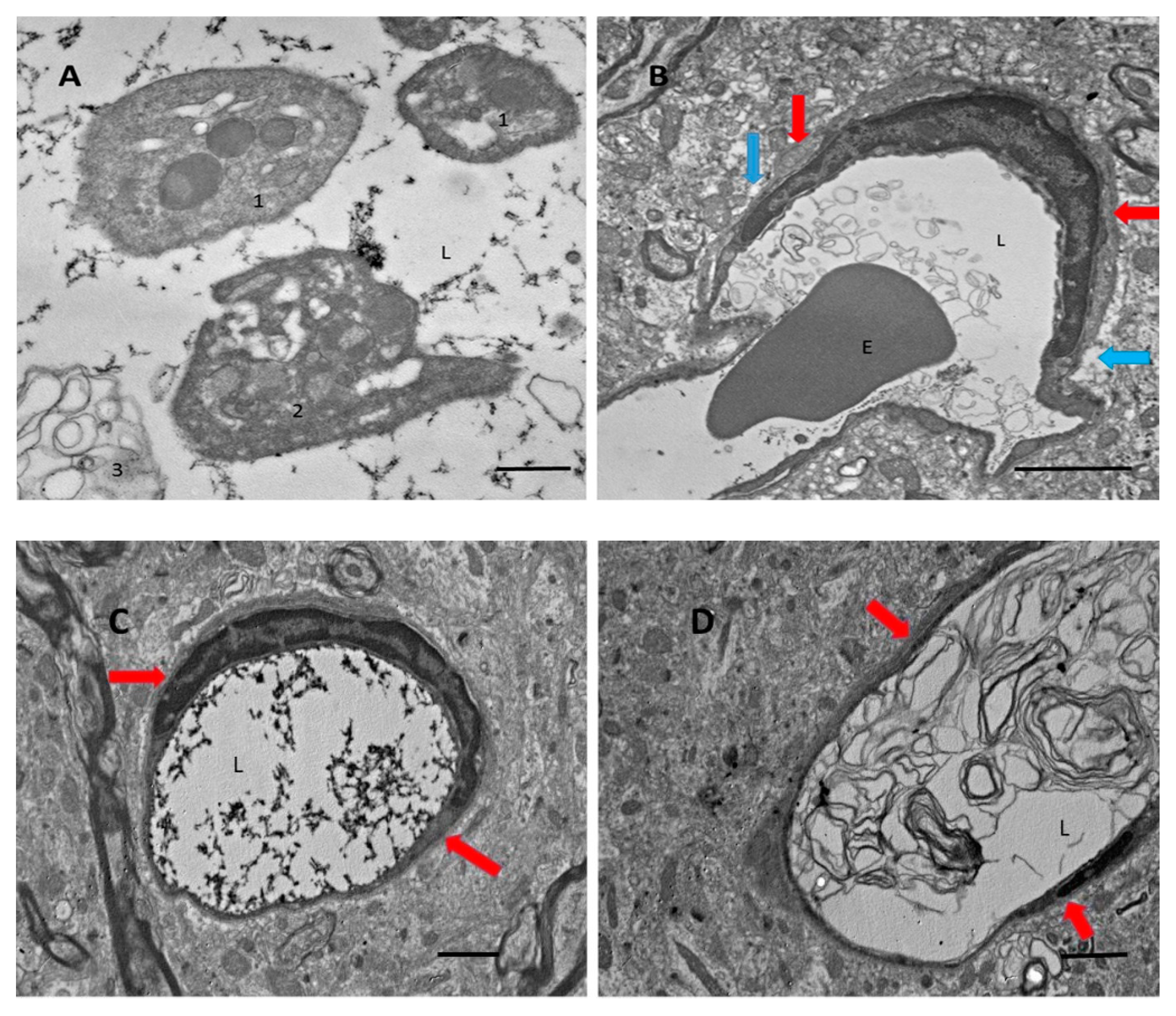 Biomolecules 09 00350 g001 Biomolecules 09 00350 g001