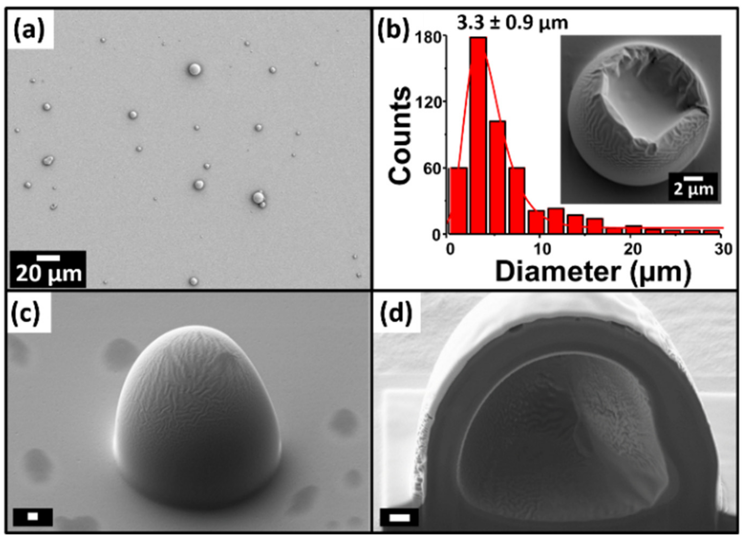 Biomolecules 09 00352 g003