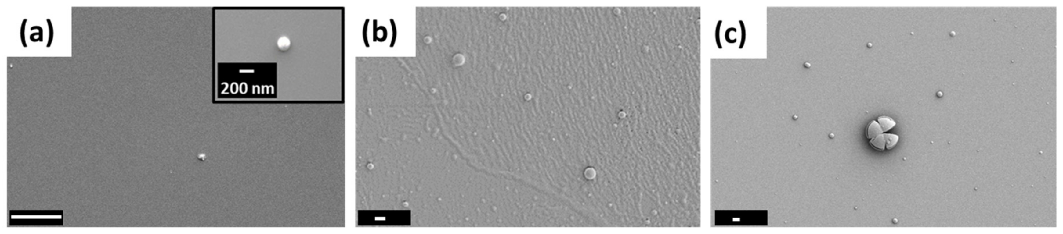 Biomolecules 09 00352 g005