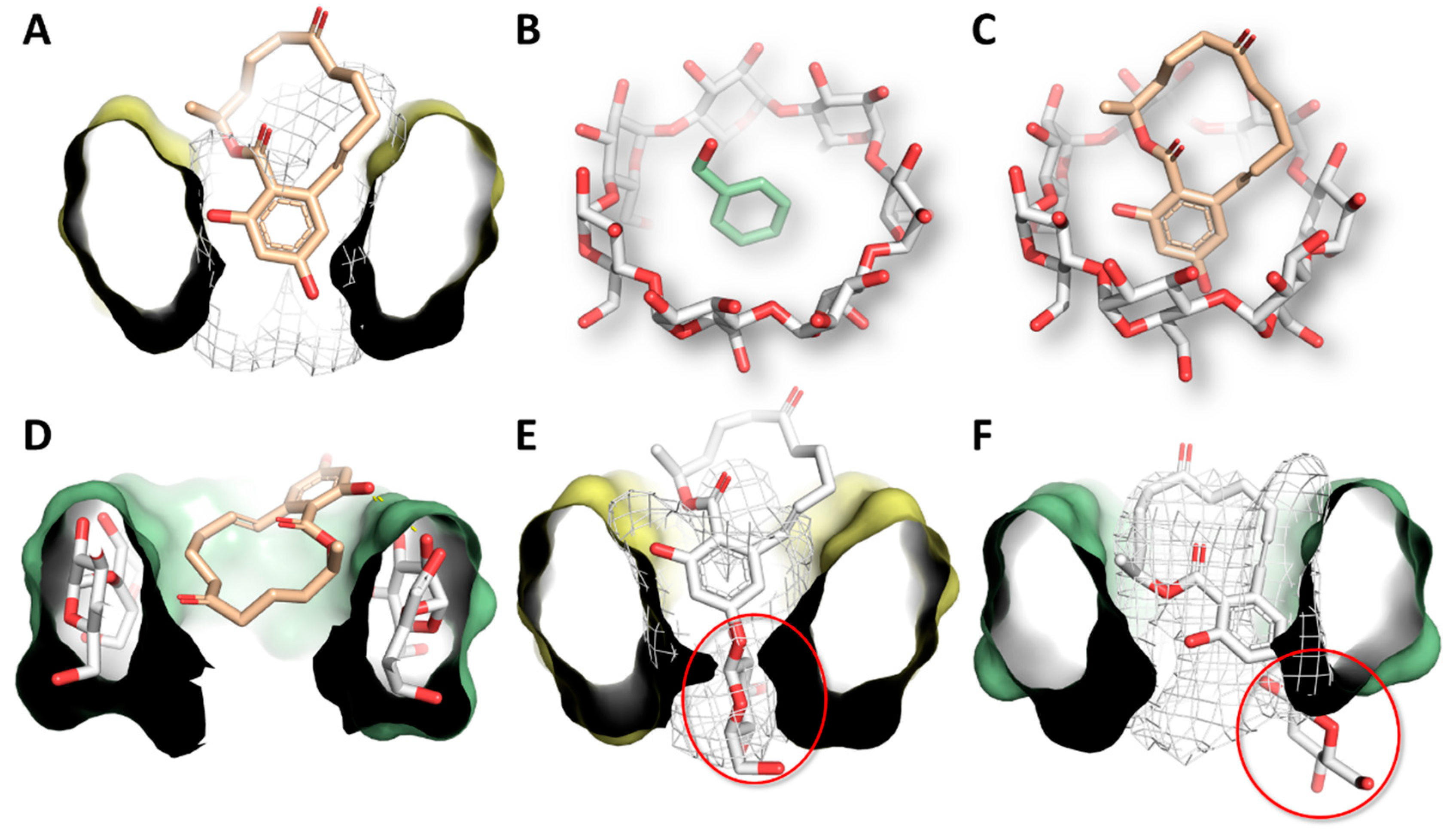 Biomolecules 09 00354 g007