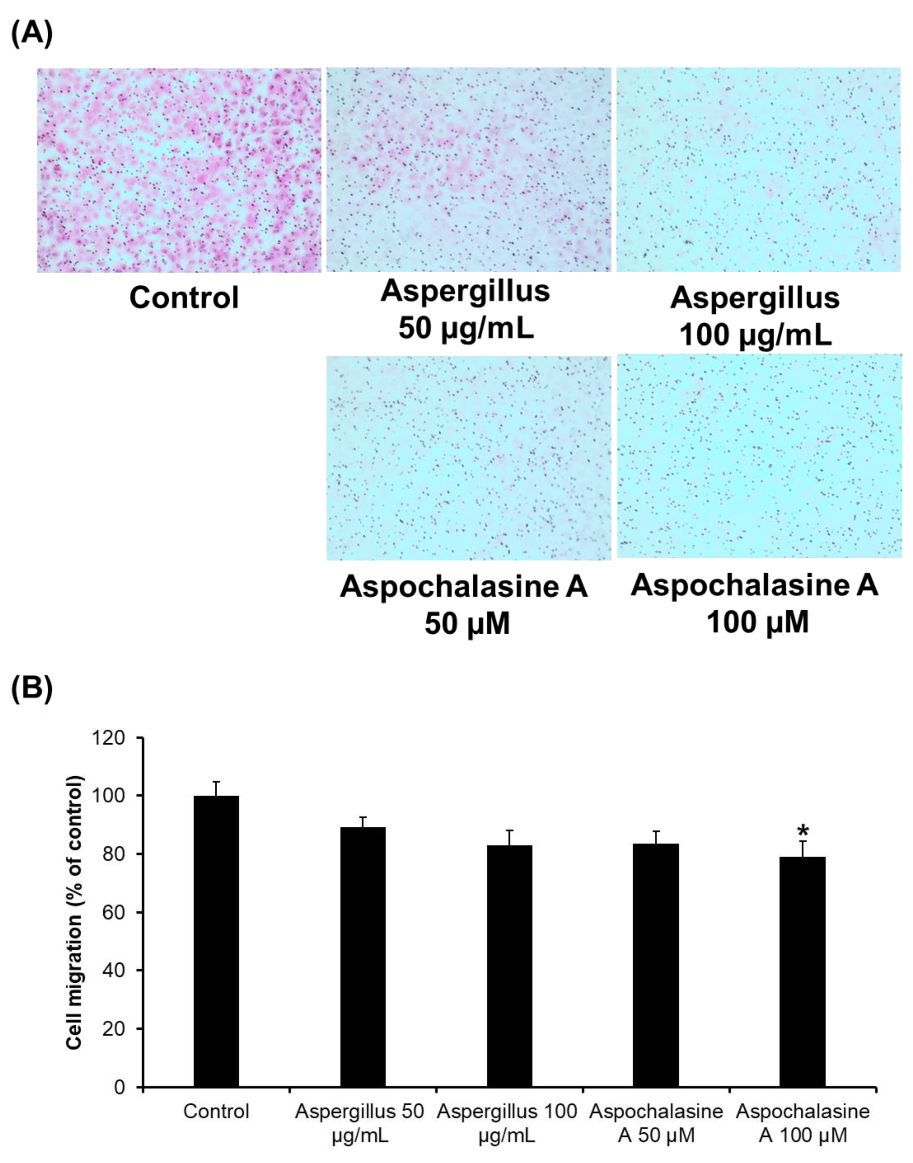 Biomolecules 09 00358 g003