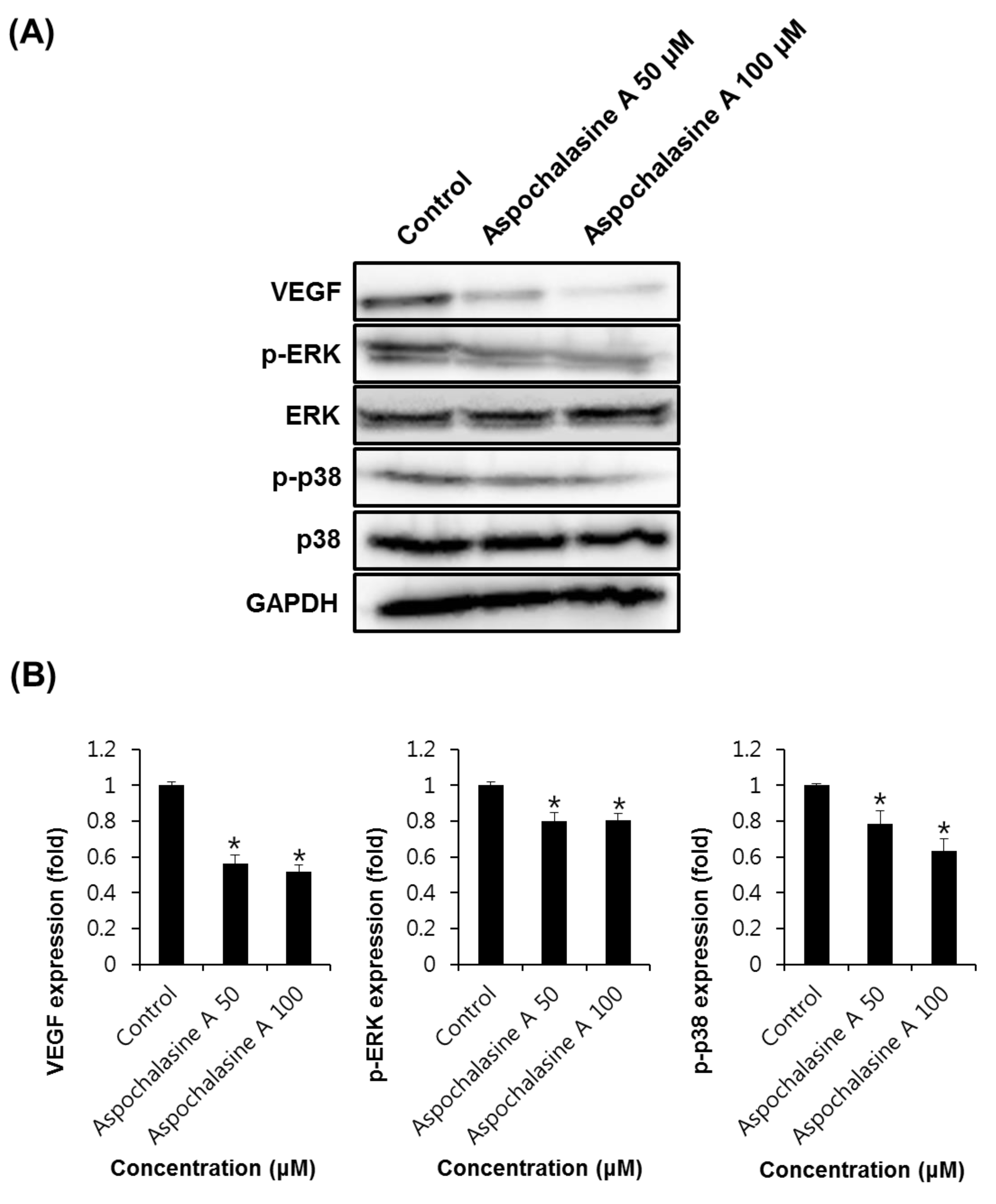 Biomolecules 09 00358 g006