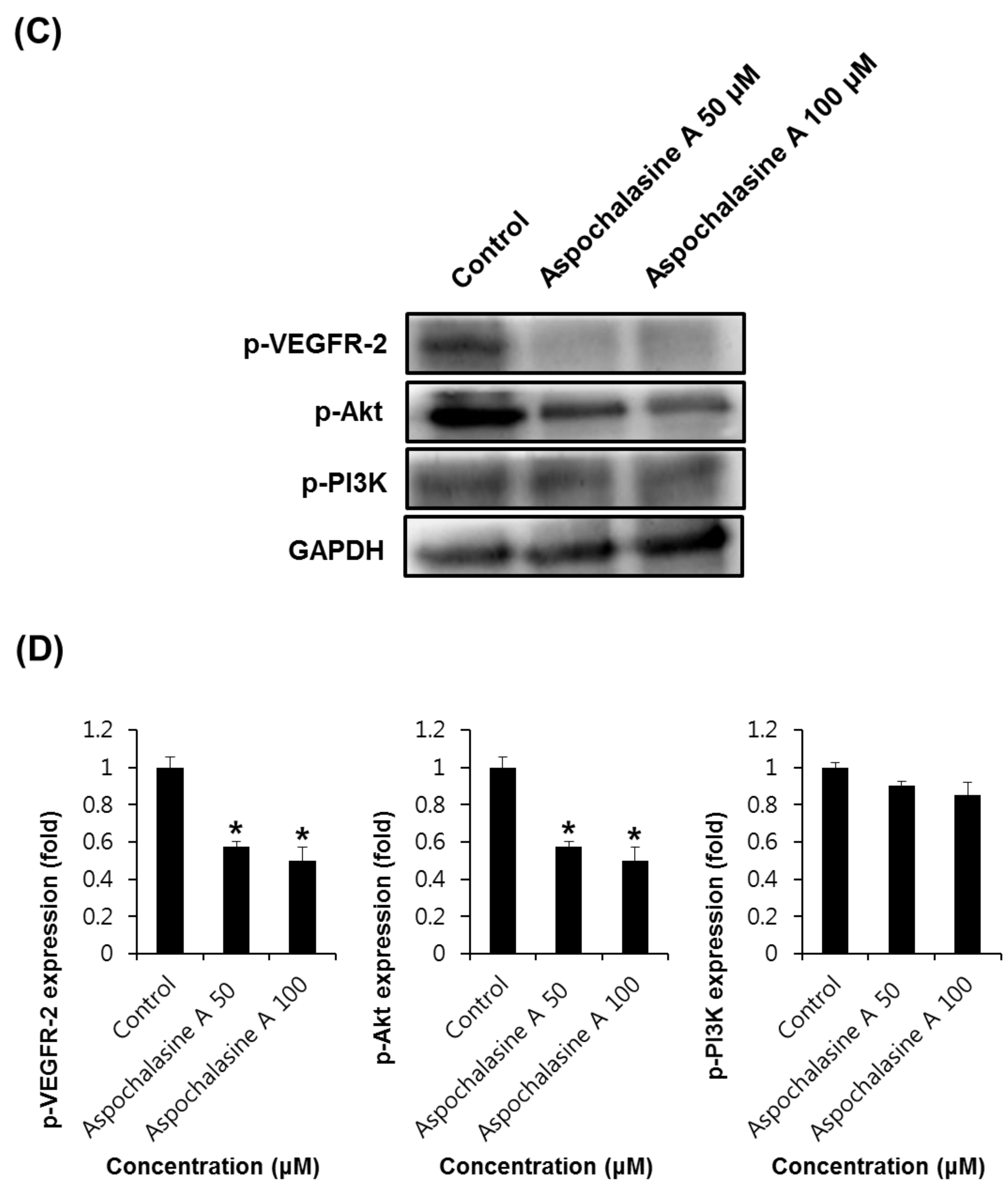 Biomolecules 09 00358 g007b