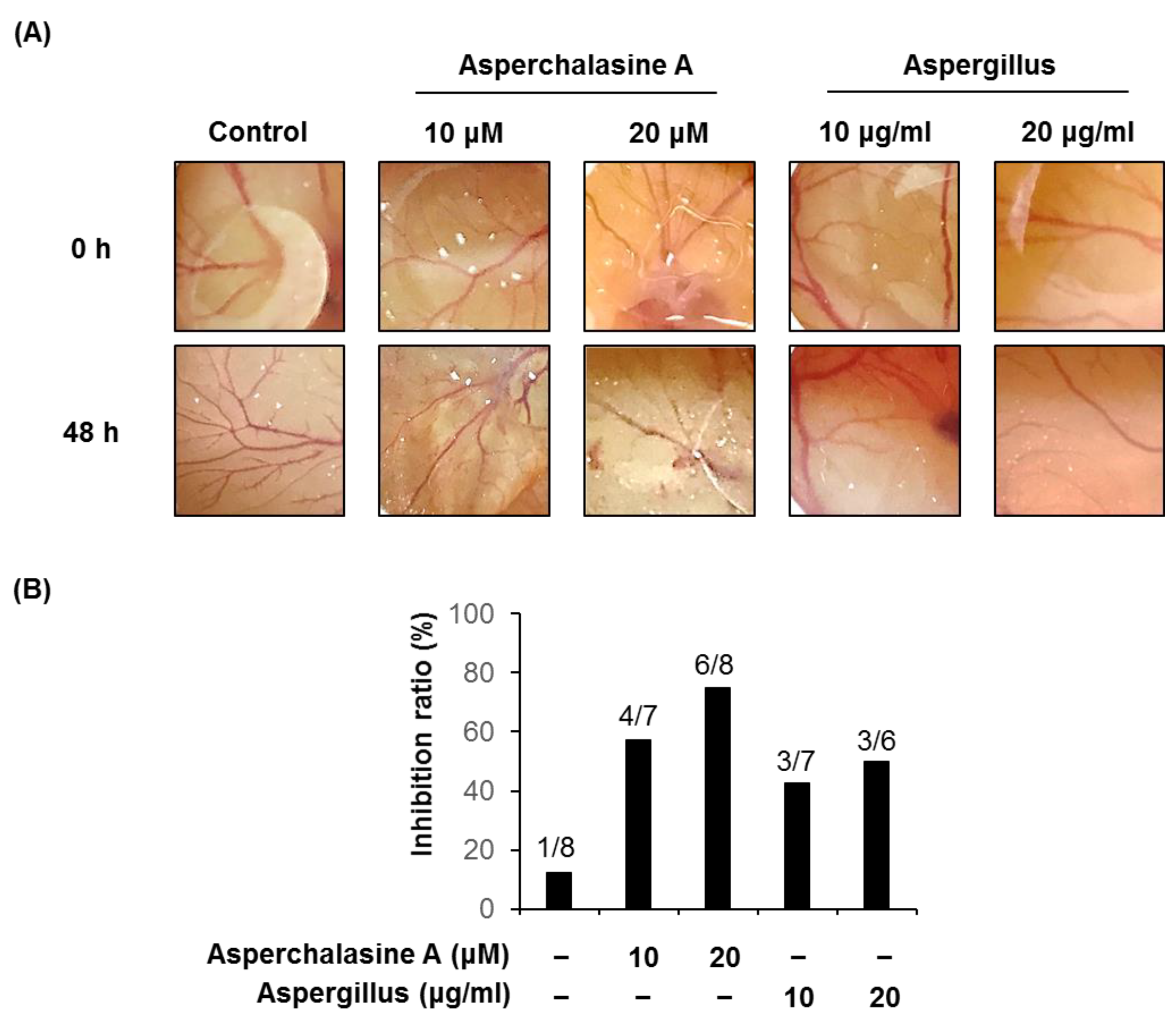 Biomolecules 09 00358 g009