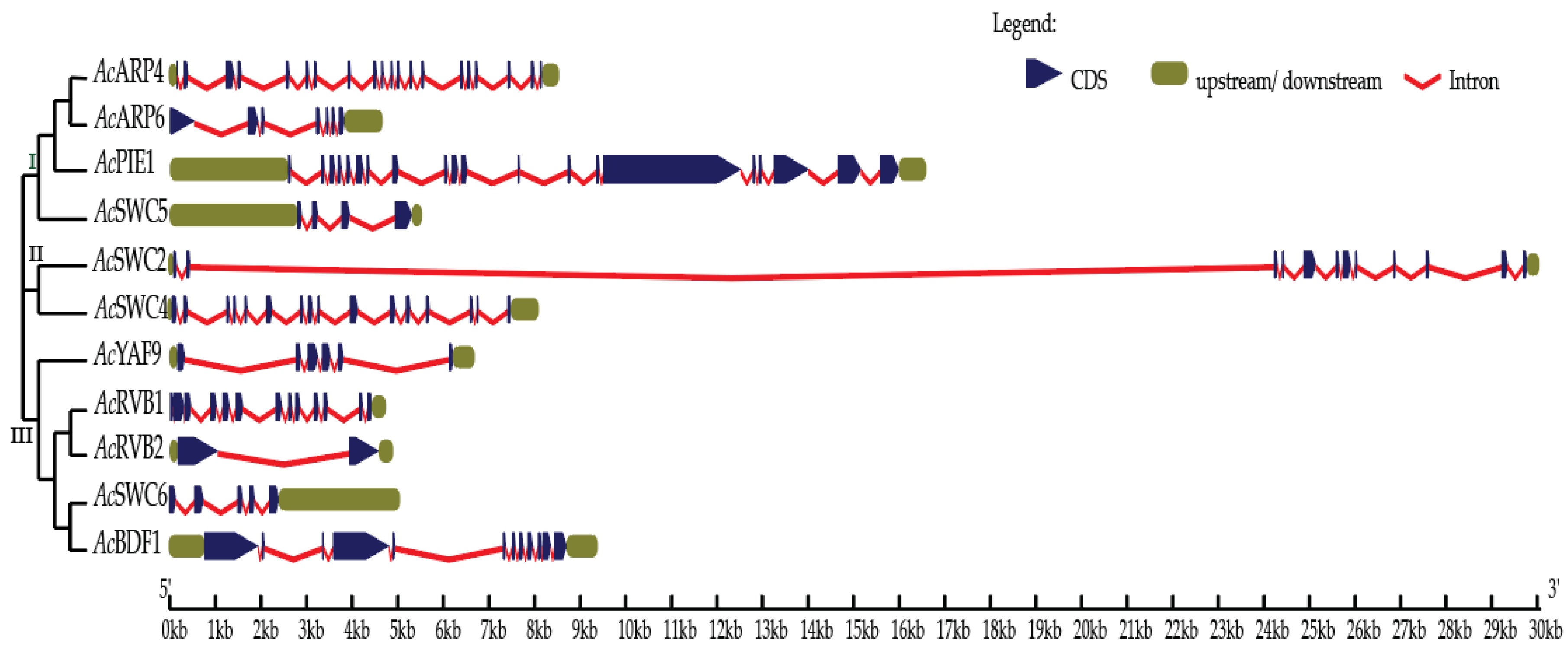 Biomolecules 09 00364 g002 Biomolecules 09 00364 g002