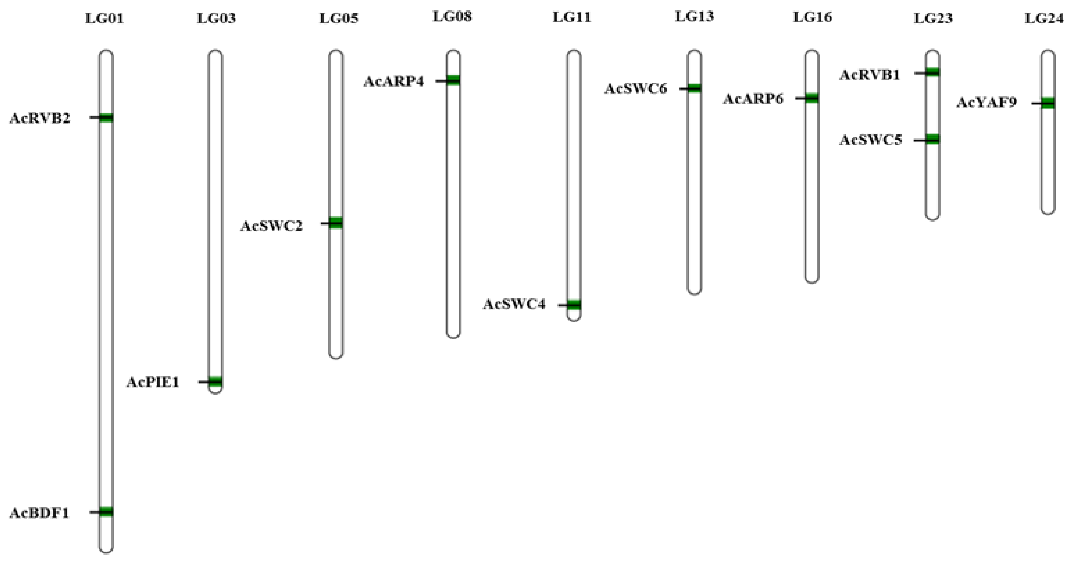 Biomolecules 09 00364 g003 Biomolecules 09 00364 g003