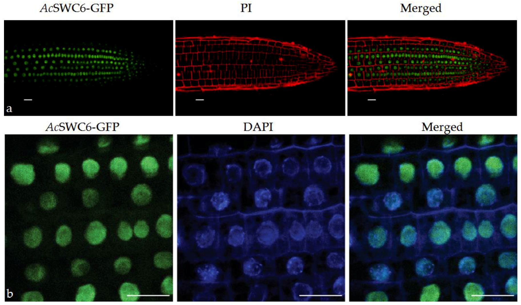 Biomolecules 09 00364 g006 Biomolecules 09 00364 g006