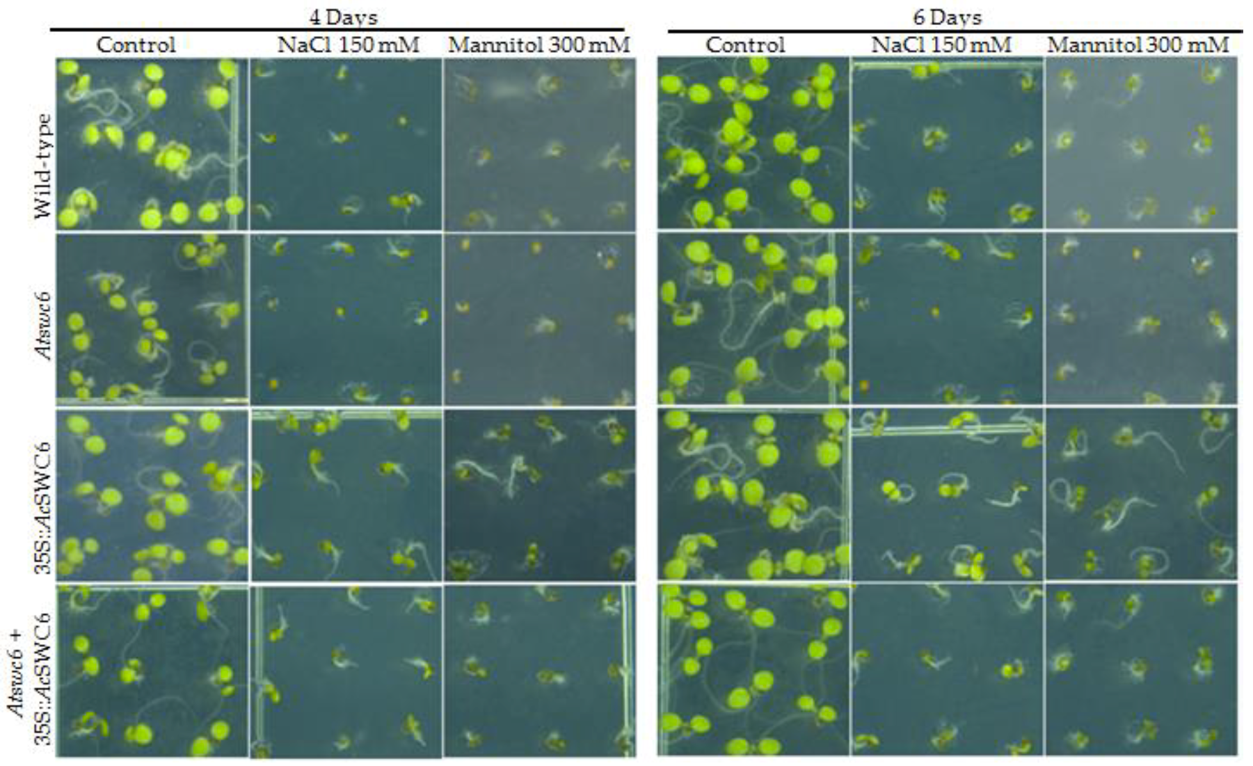 Biomolecules 09 00364 g008 Biomolecules 09 00364 g008