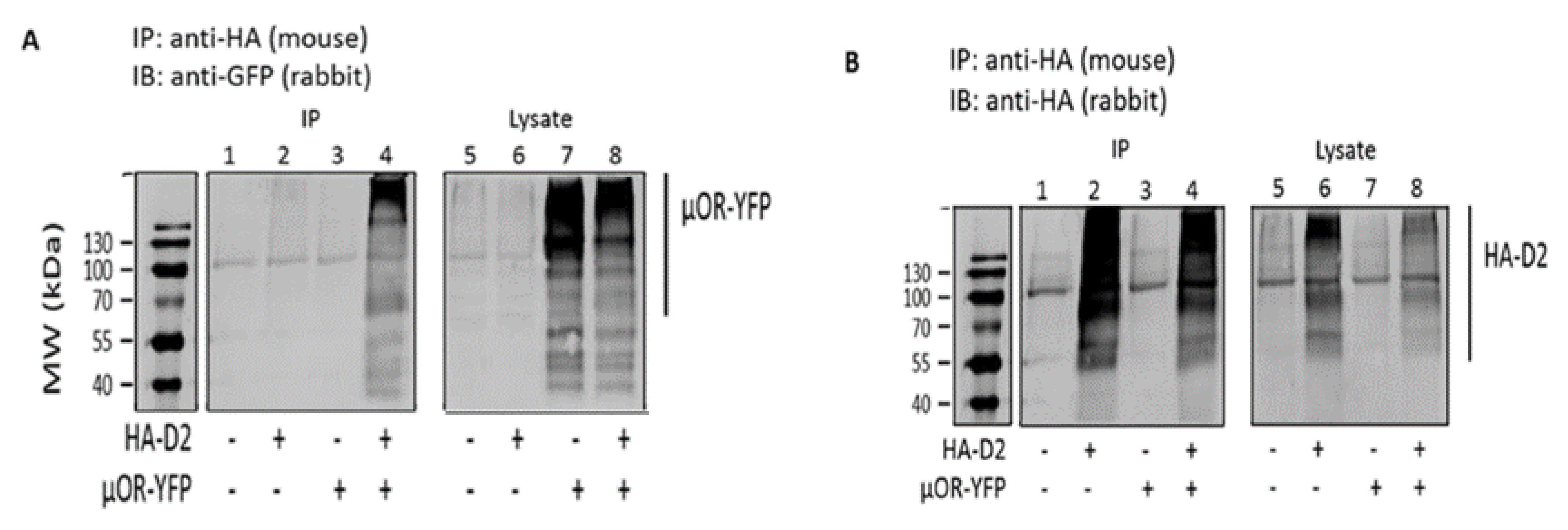 Biomolecules 09 00368 g001