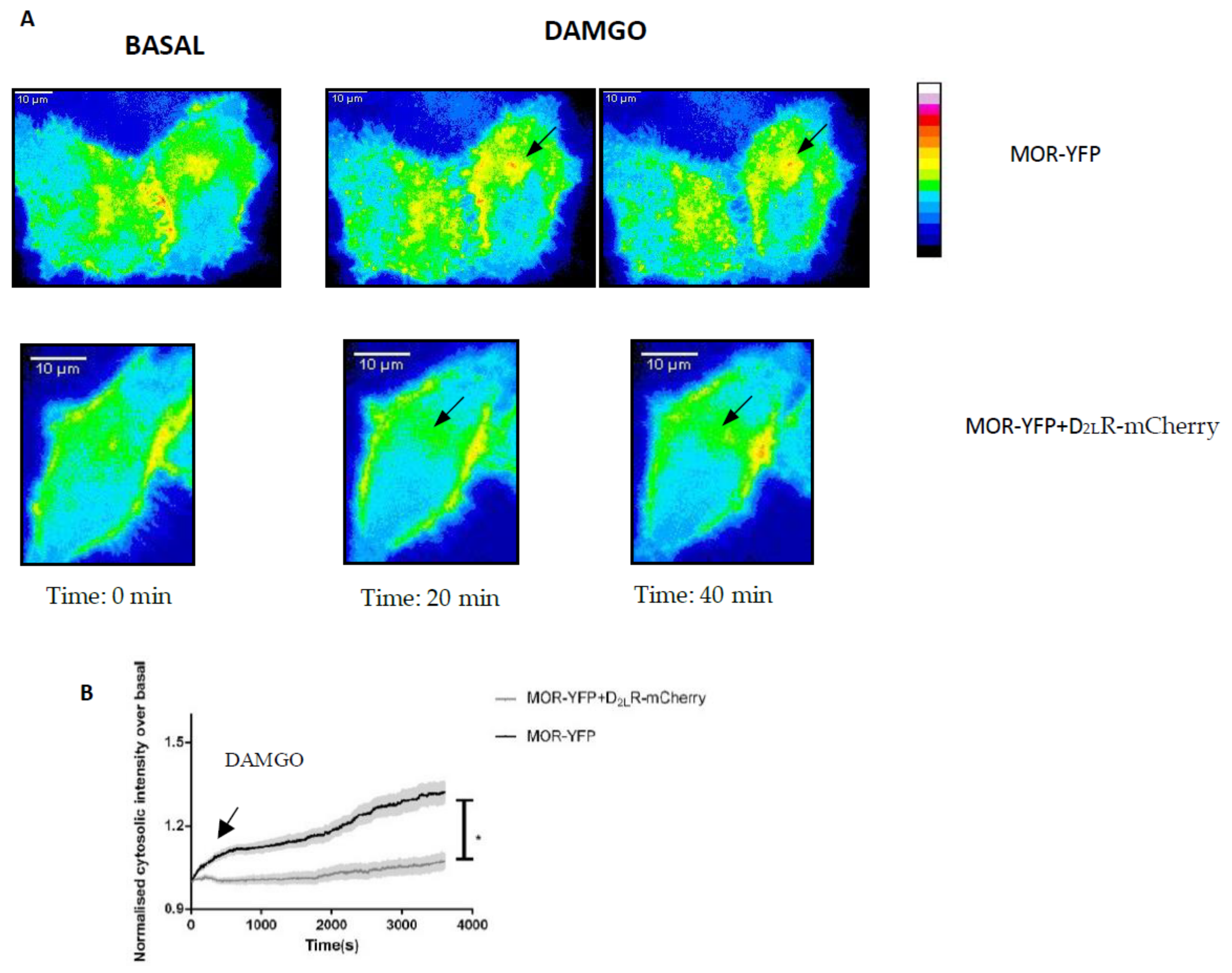 Biomolecules 09 00368 g007