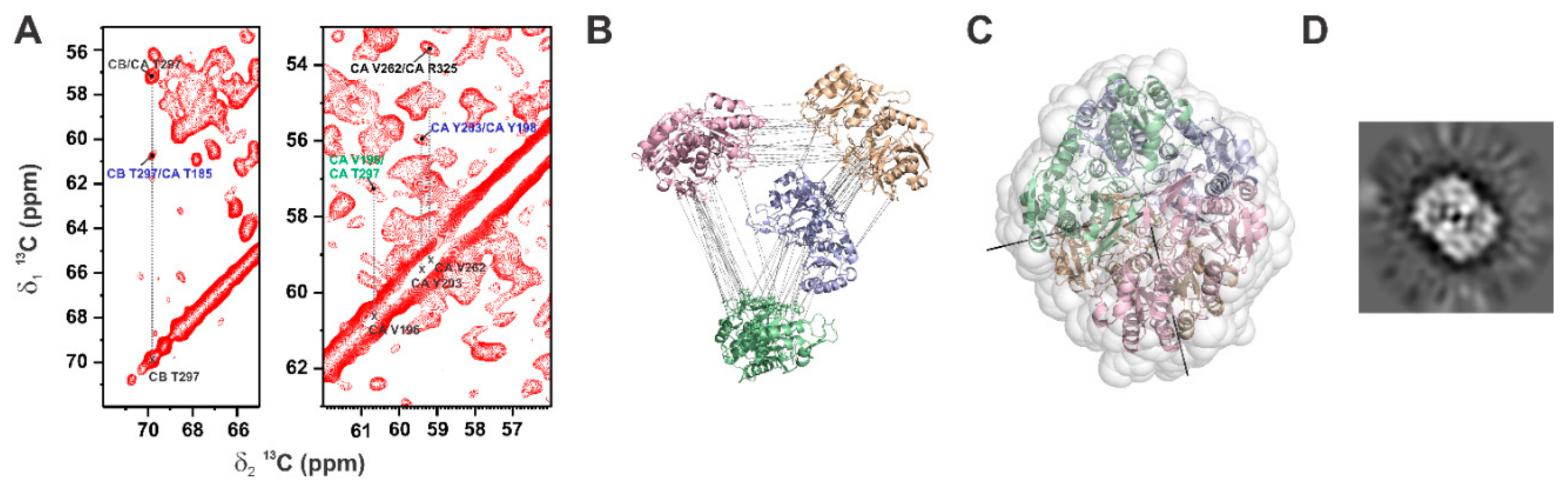 Biomolecules 09 00370 g001