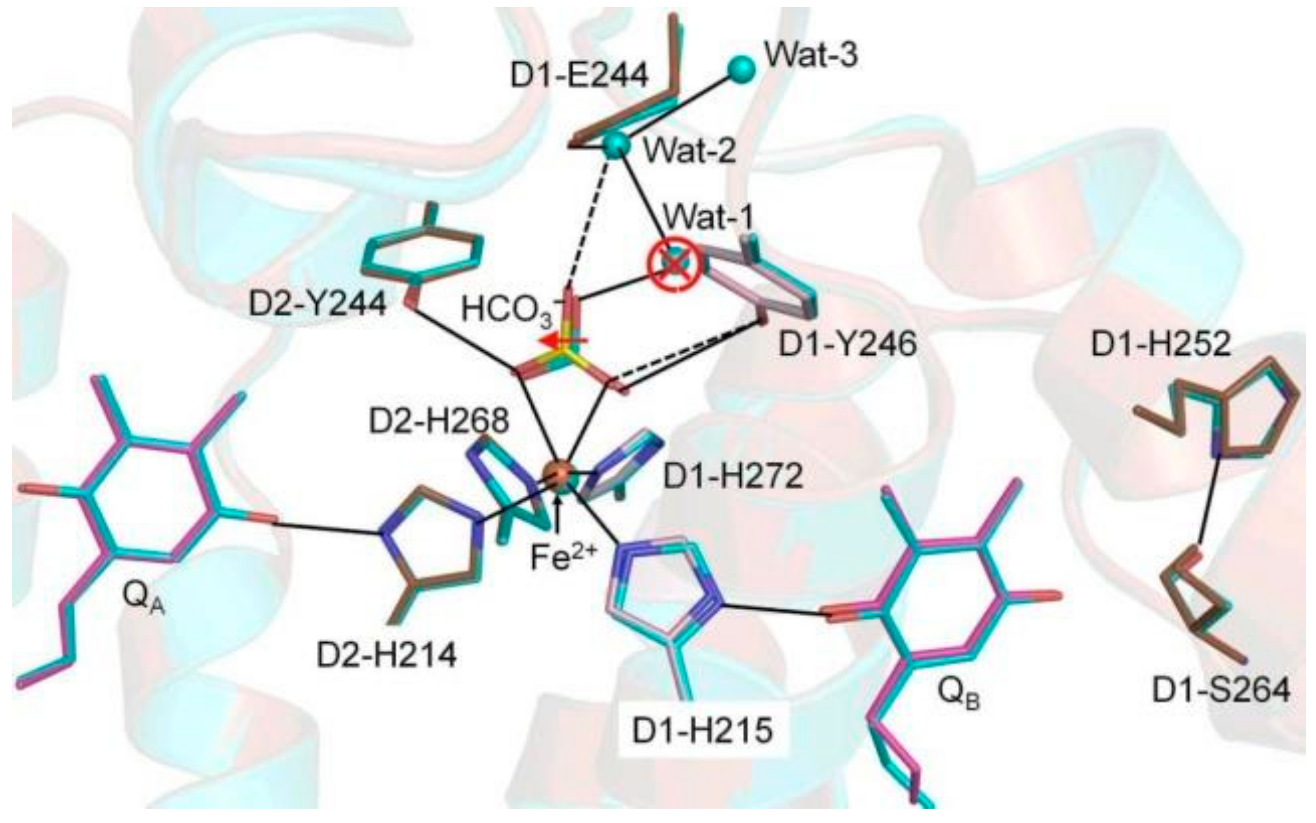 Biomolecules 09 00371 g002