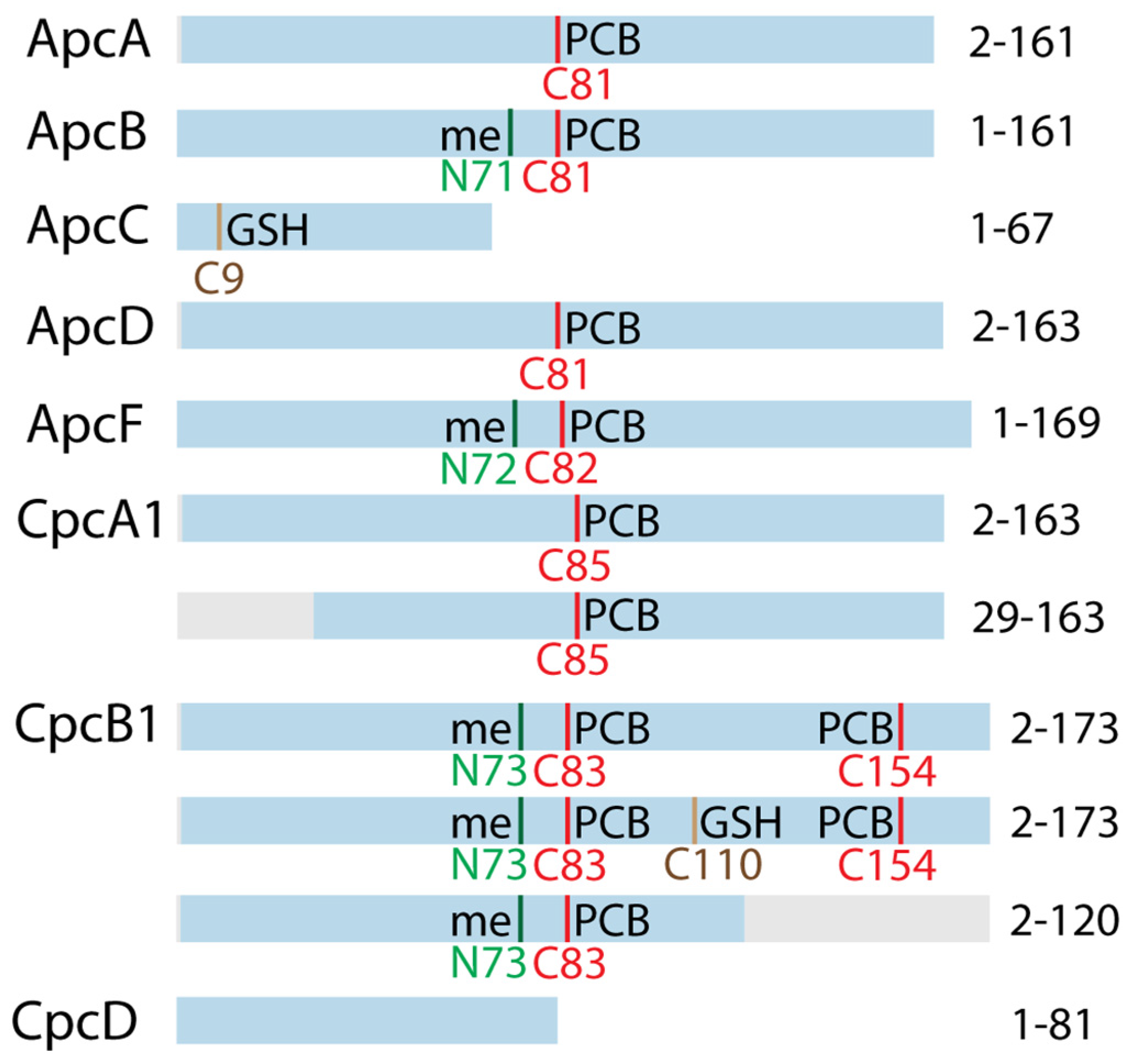 Biomolecules 09 00374 g004