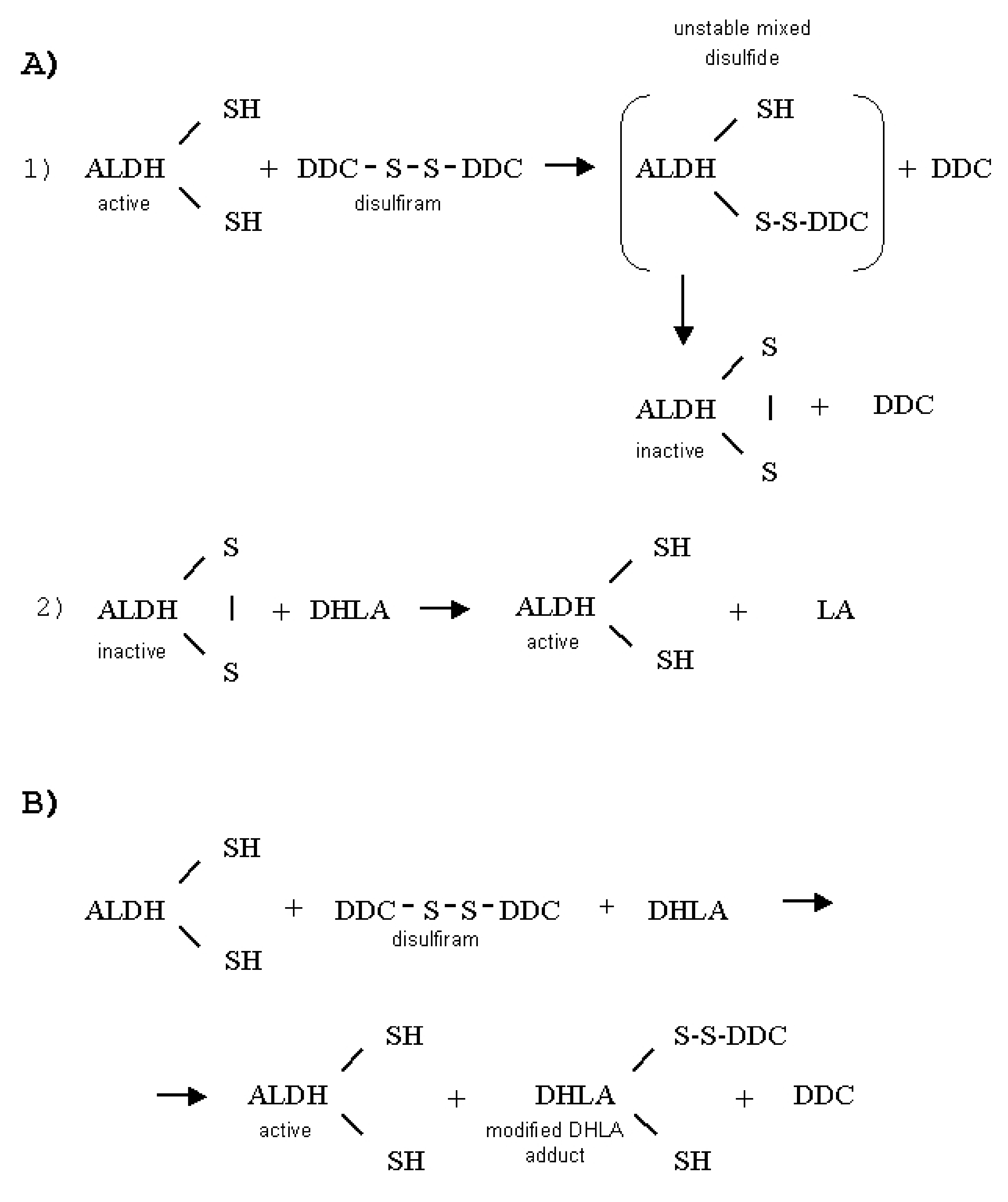 Biomolecules 09 00375 g007