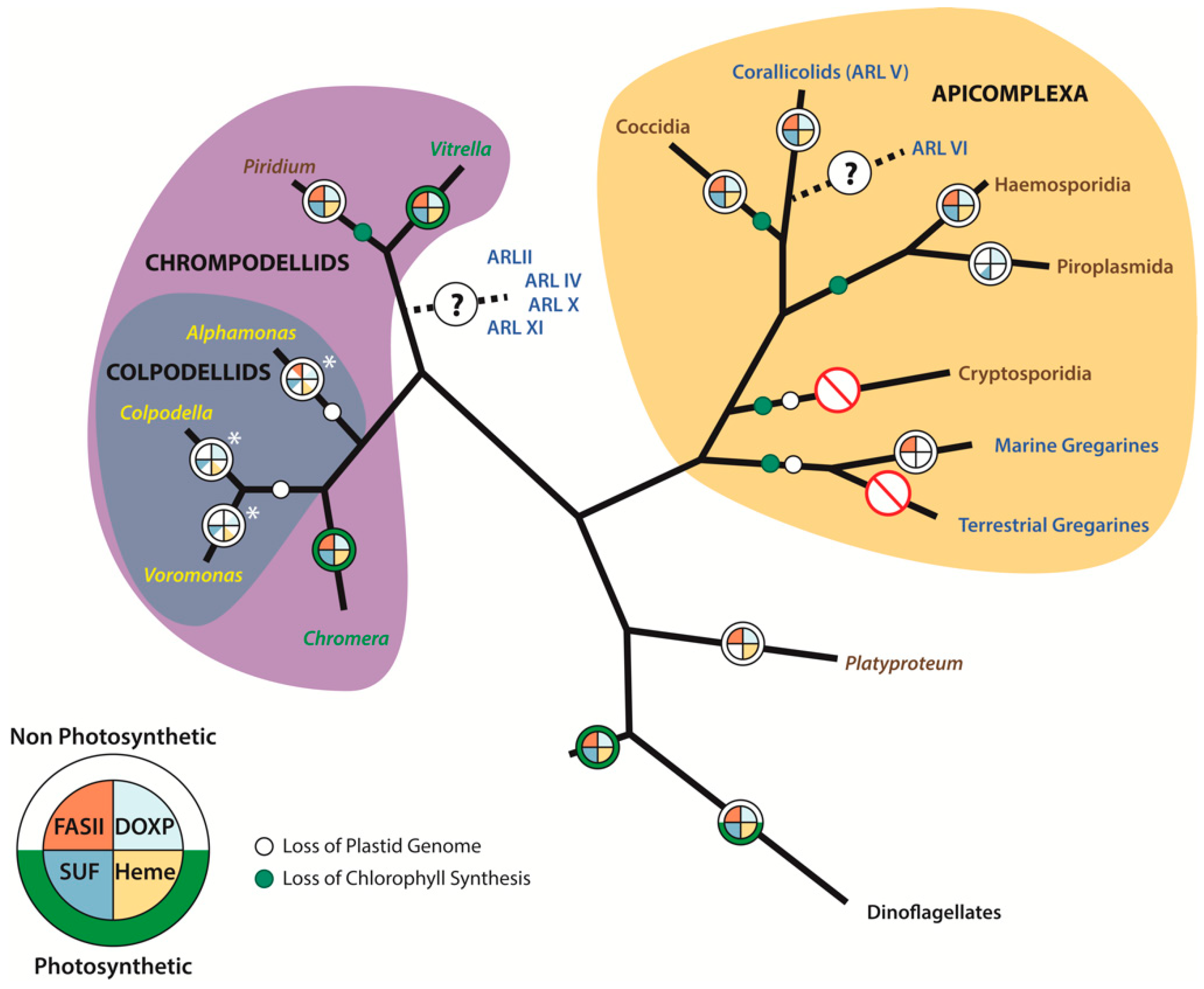 Biomolecules 09 00378 g001 Biomolecules 09 00378 g001
