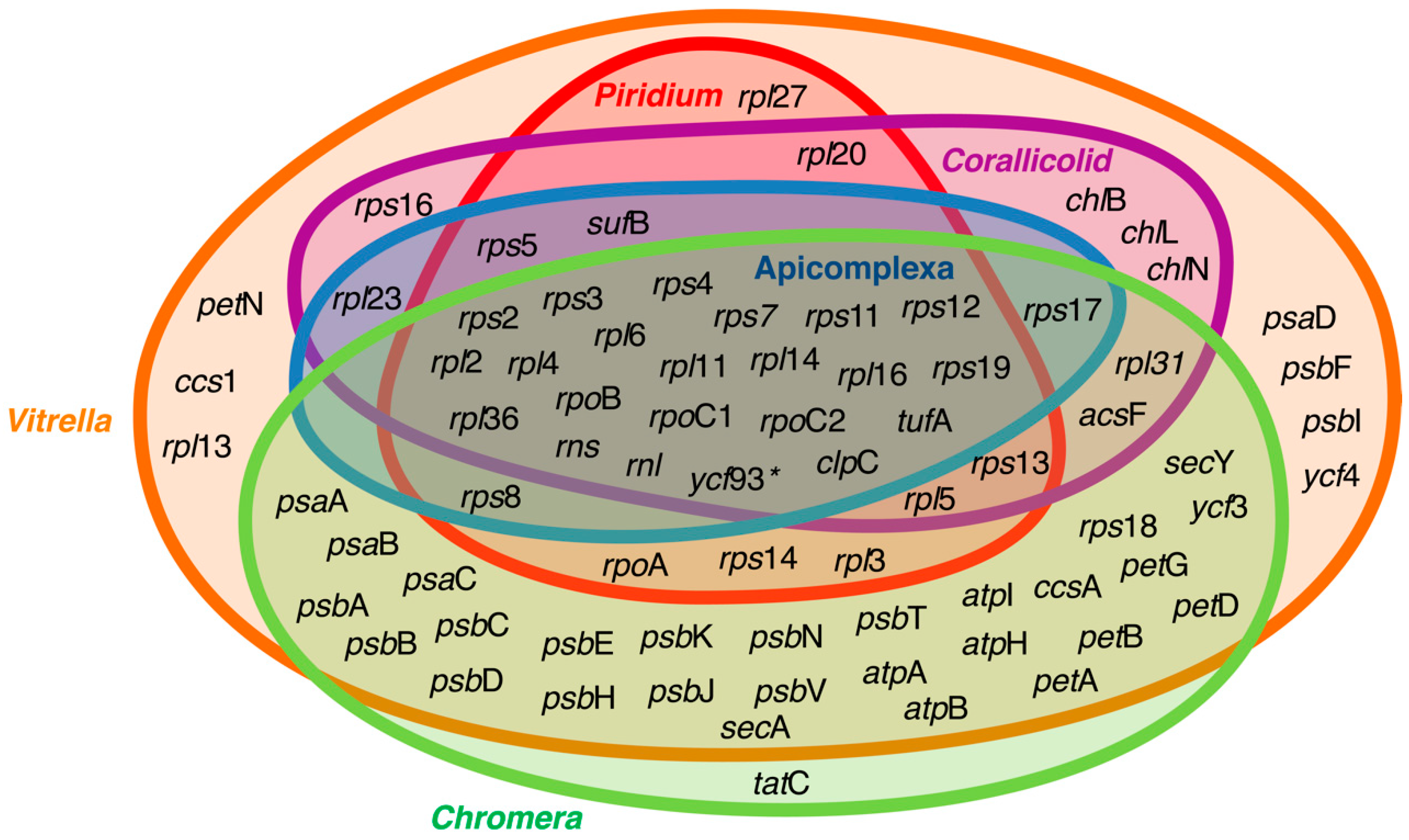 Biomolecules 09 00378 g002 Biomolecules 09 00378 g002