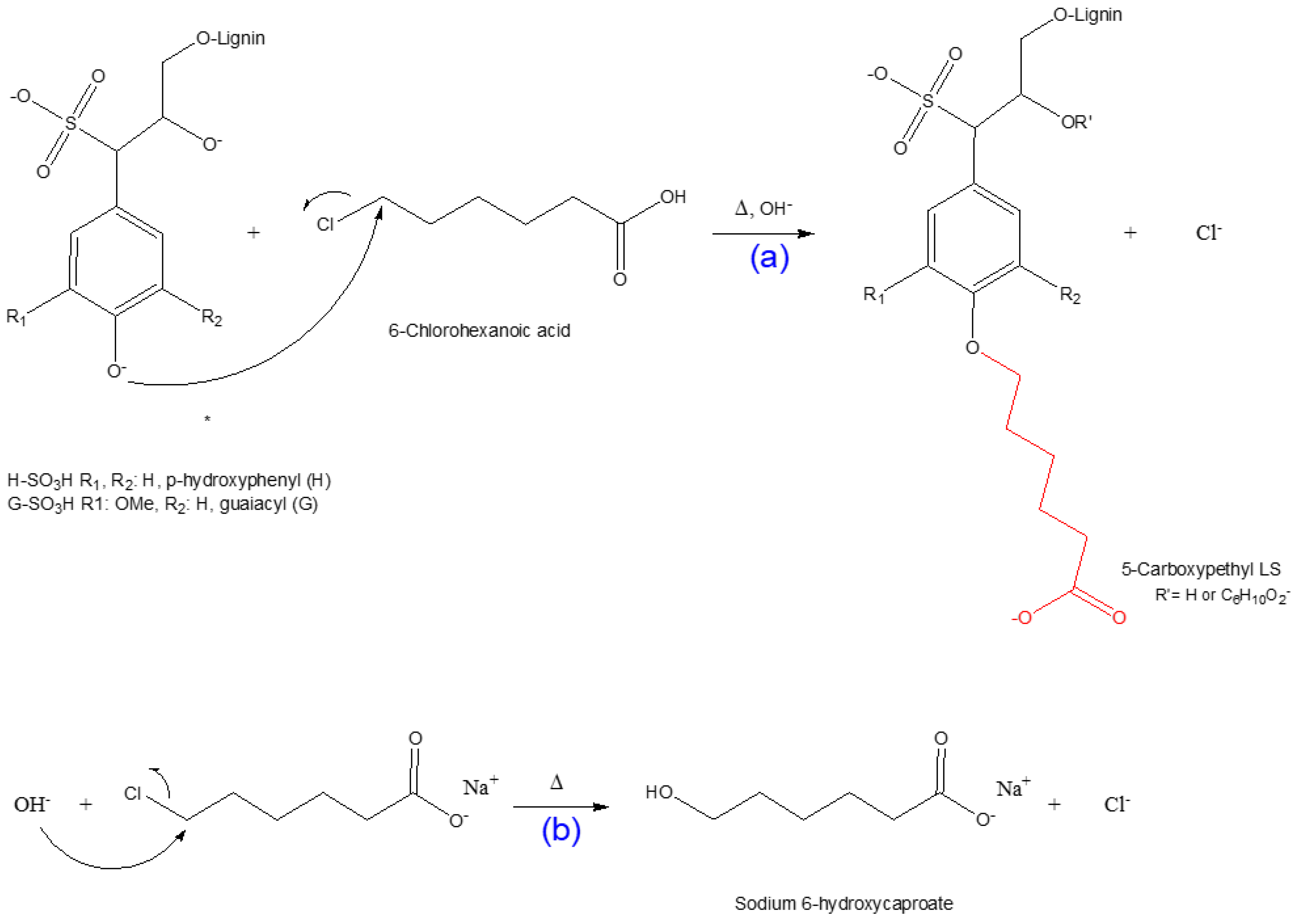 Biomolecules 09 00383 sch002