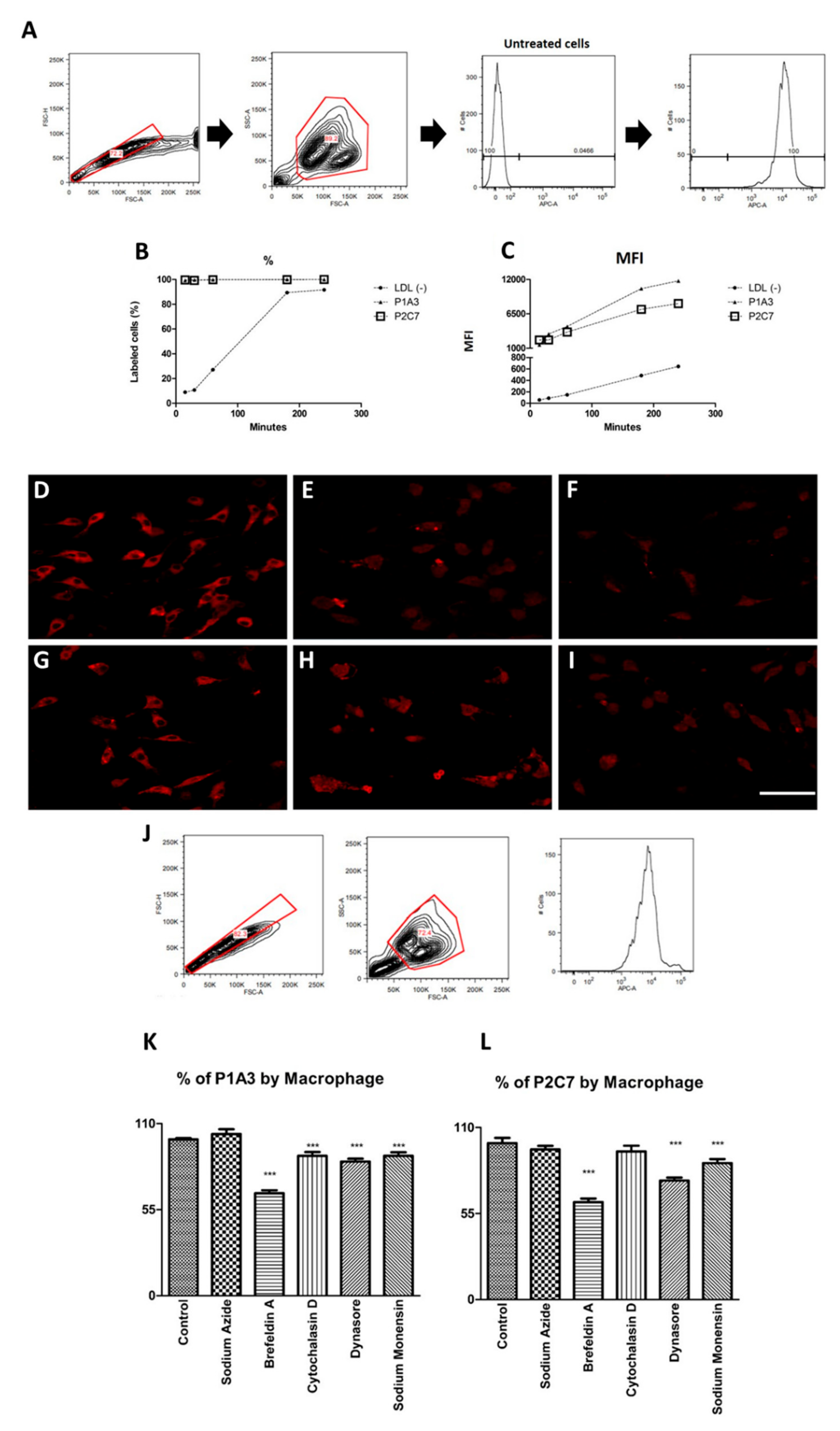 Biomolecules 09 00386 g003 Biomolecules 09 00386 g003