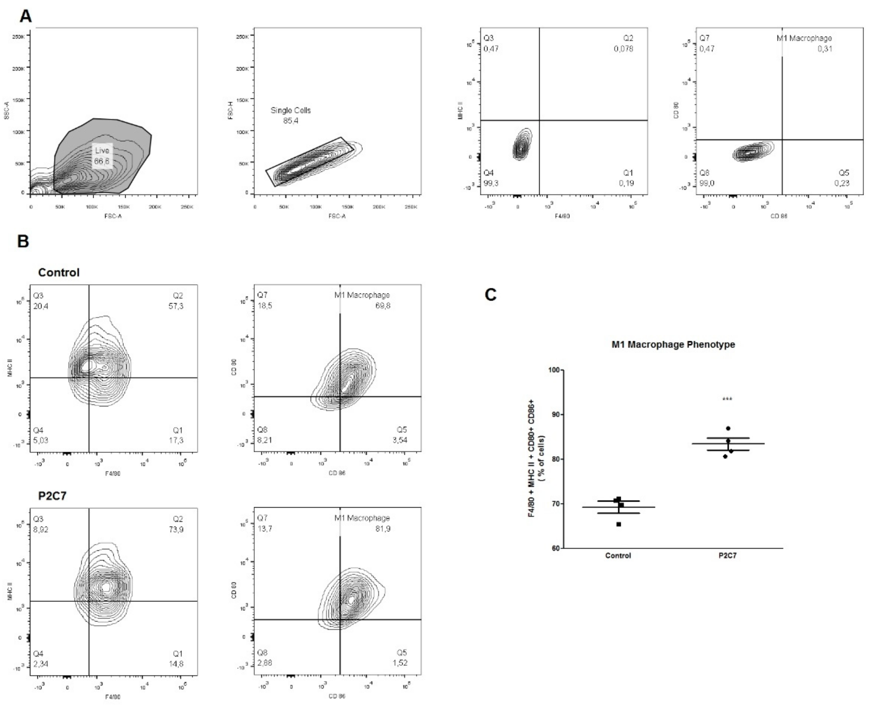 Biomolecules 09 00386 g005 Biomolecules 09 00386 g005