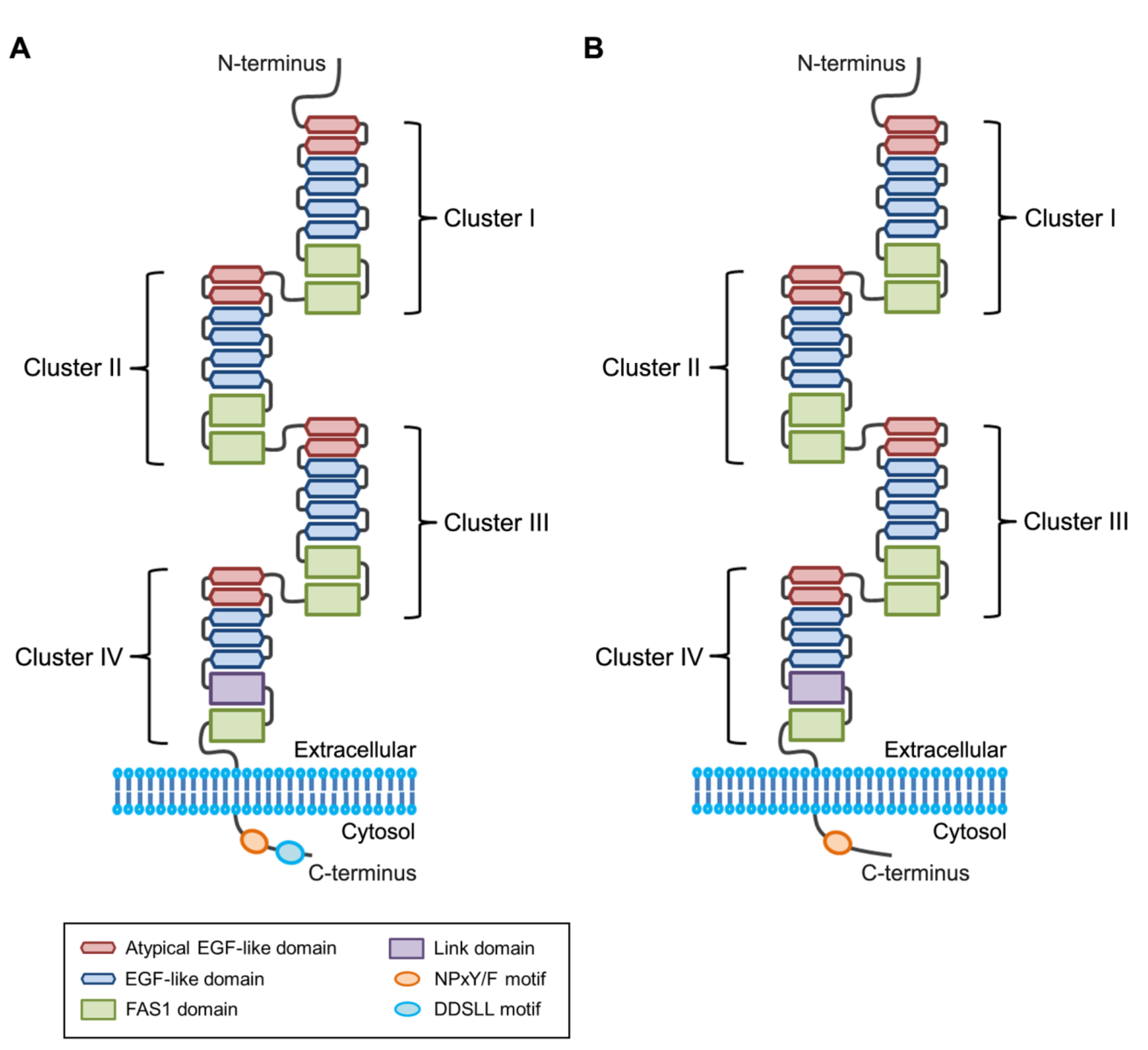 Biomolecules 09 00387 g001