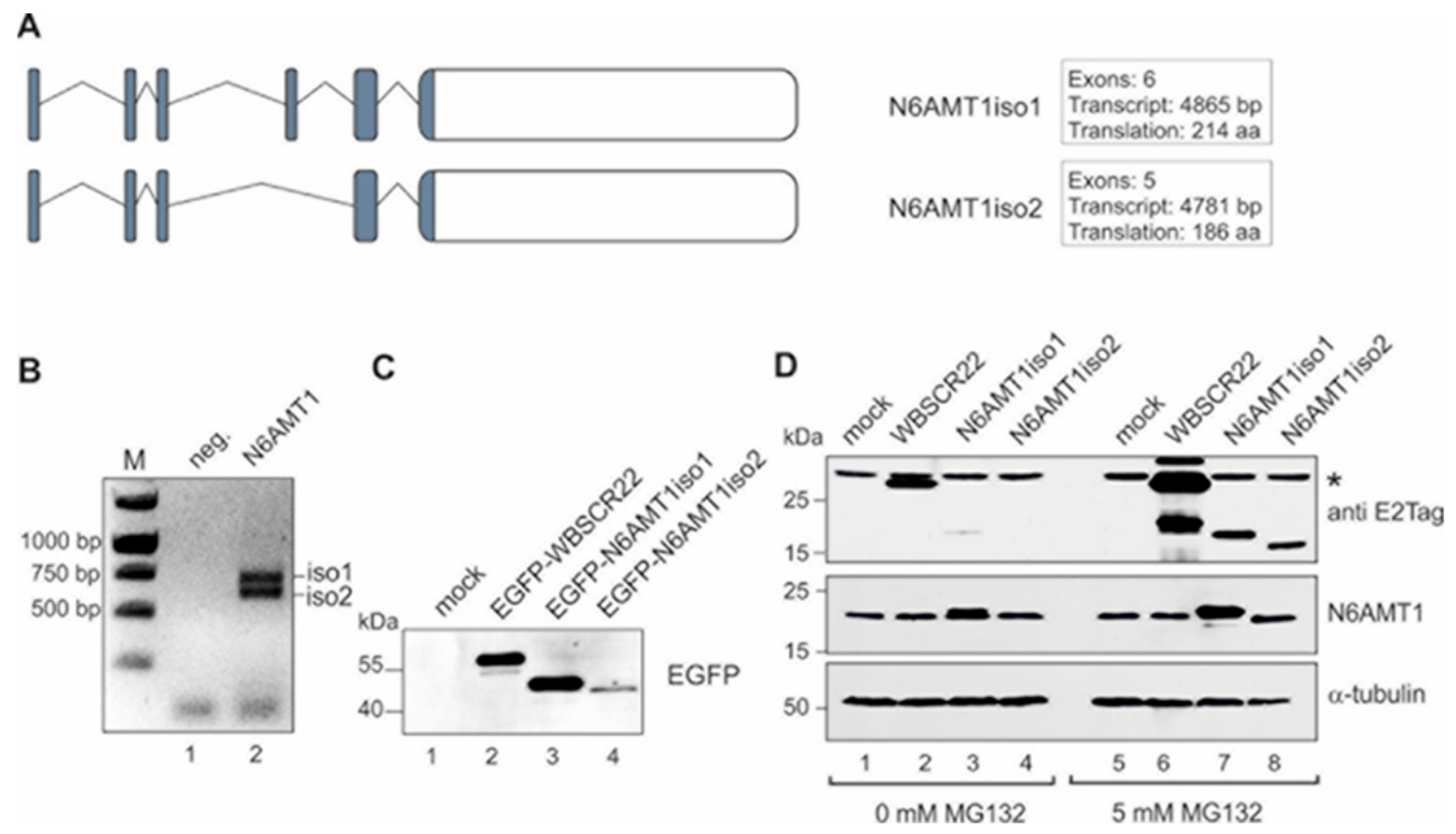 Biomolecules 09 00422 g001