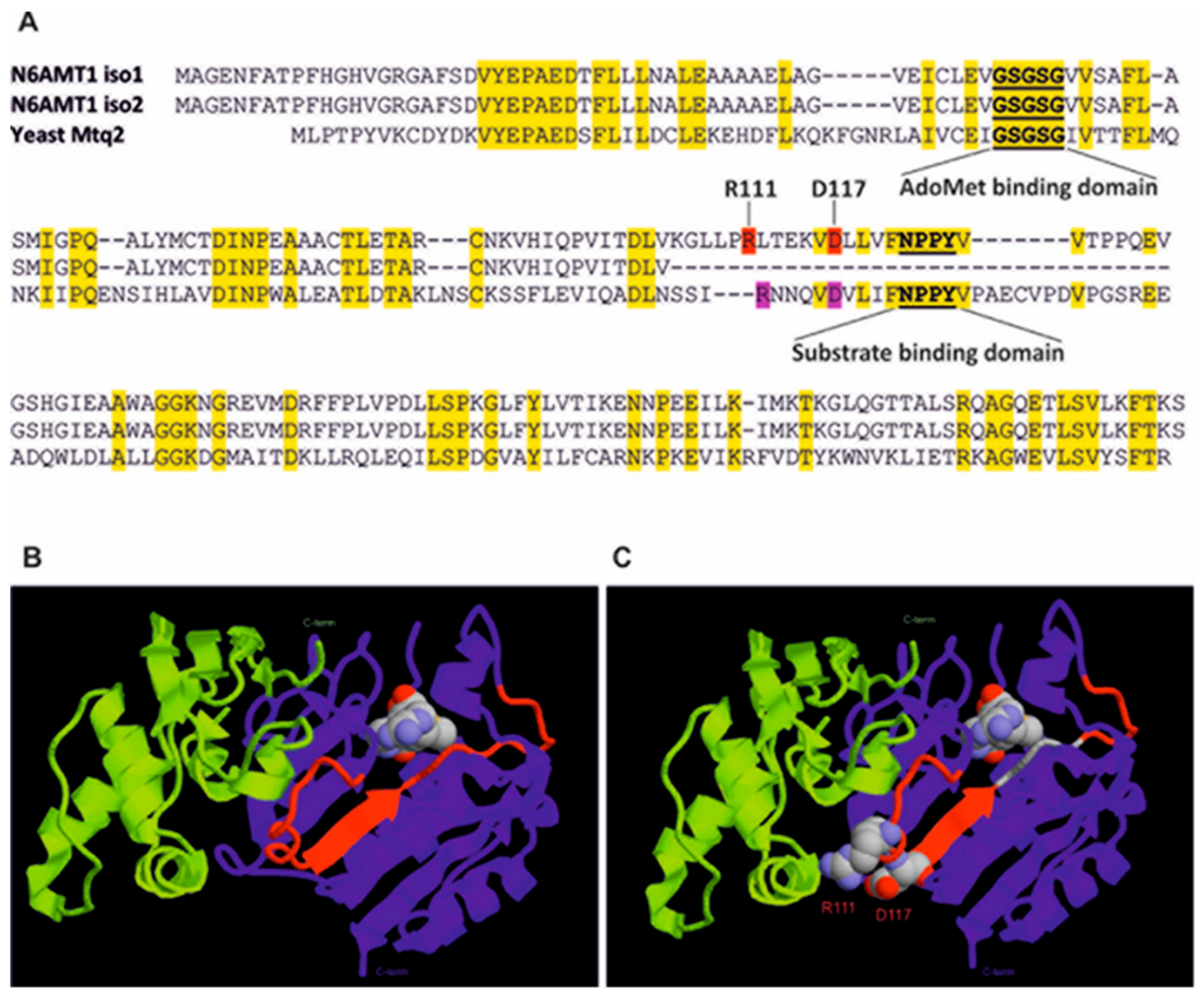 Biomolecules 09 00422 g003