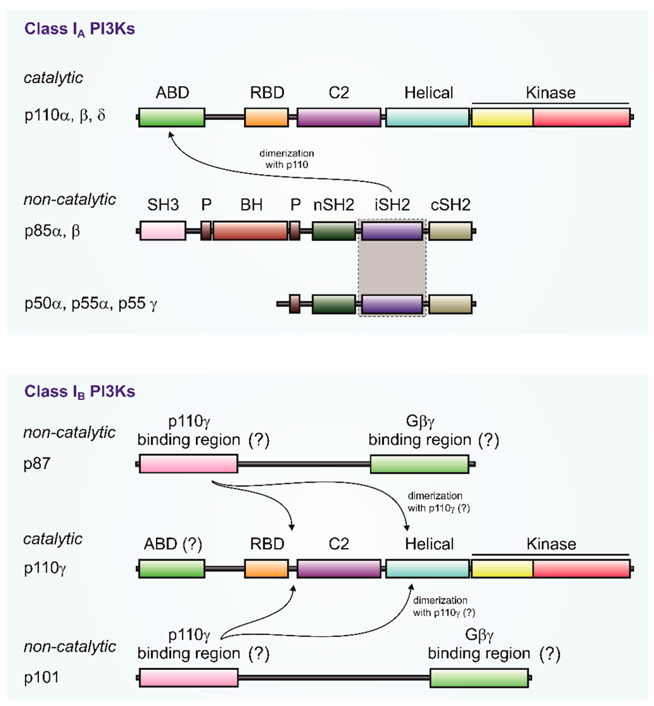 Biomolecules 09 00427 g002