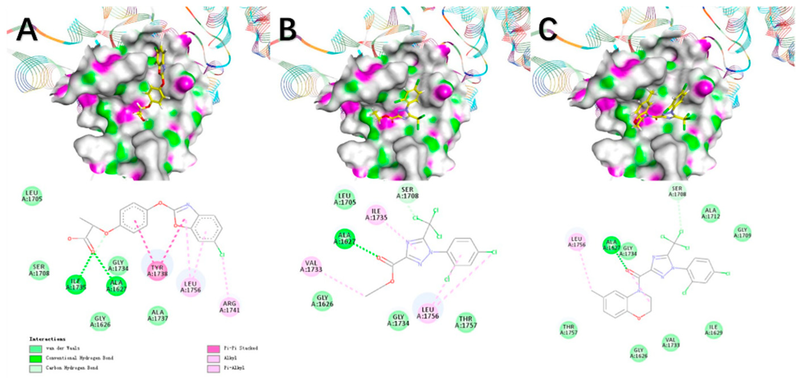 Biomolecules 09 00438 g003