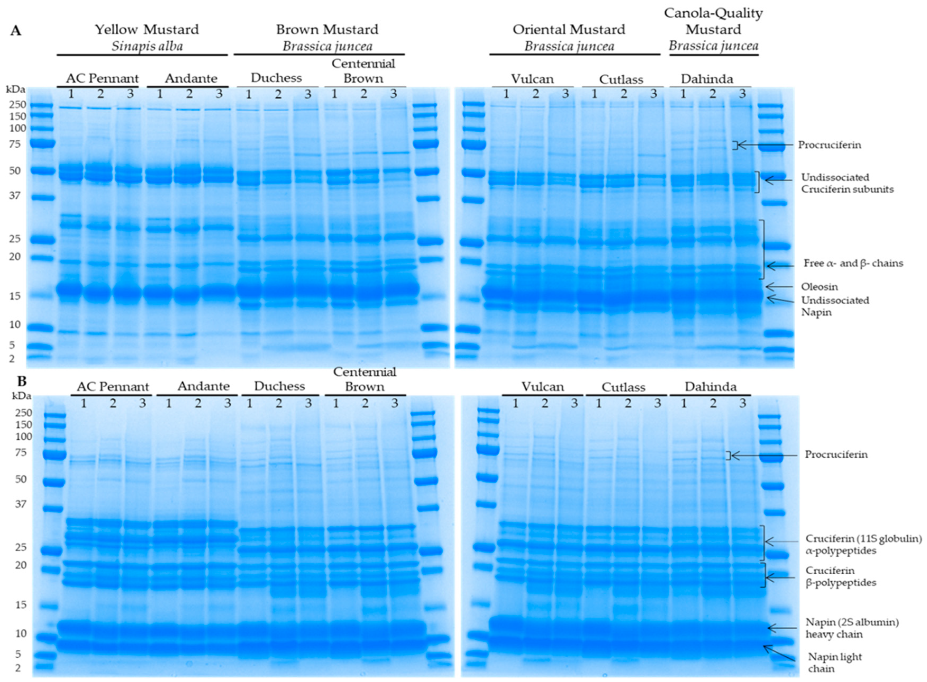 Biomolecules 09 00489 g002