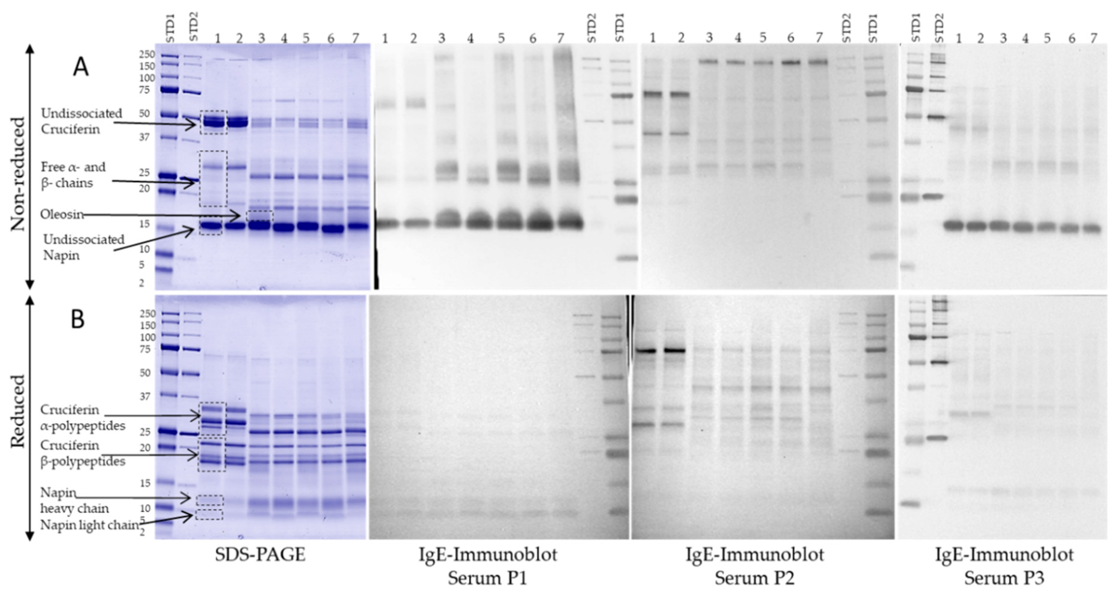 Biomolecules 09 00489 g004