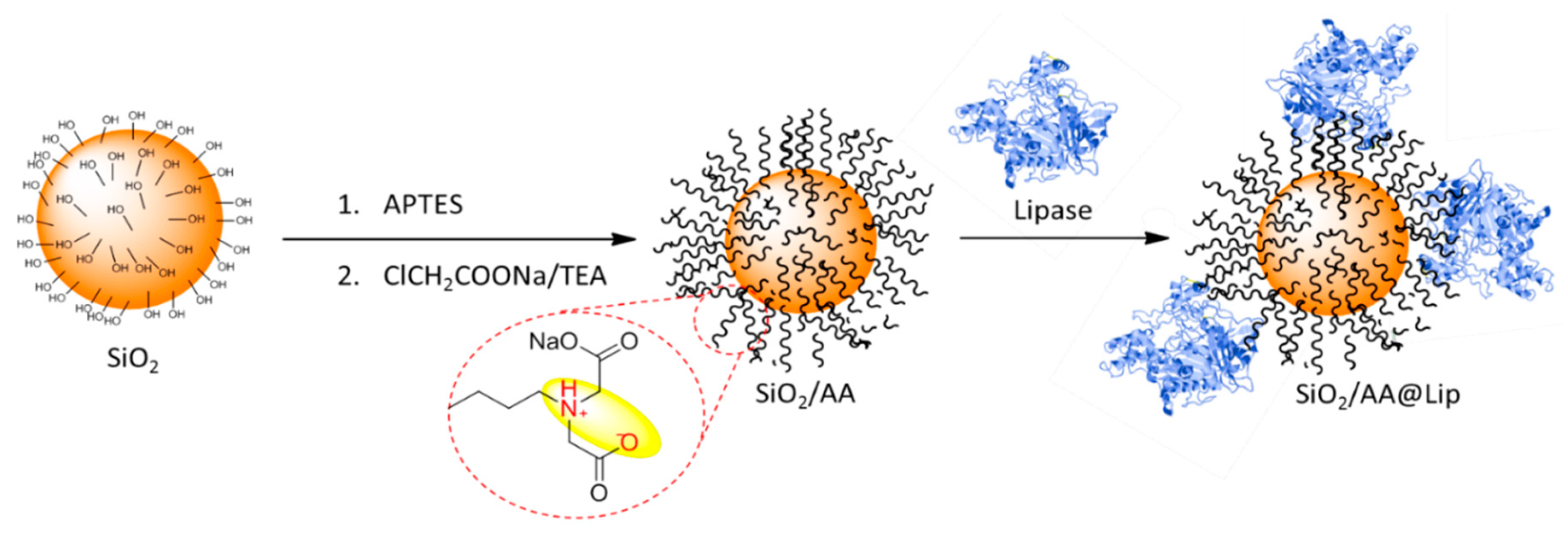 Biomolecules 09 00502 sch001