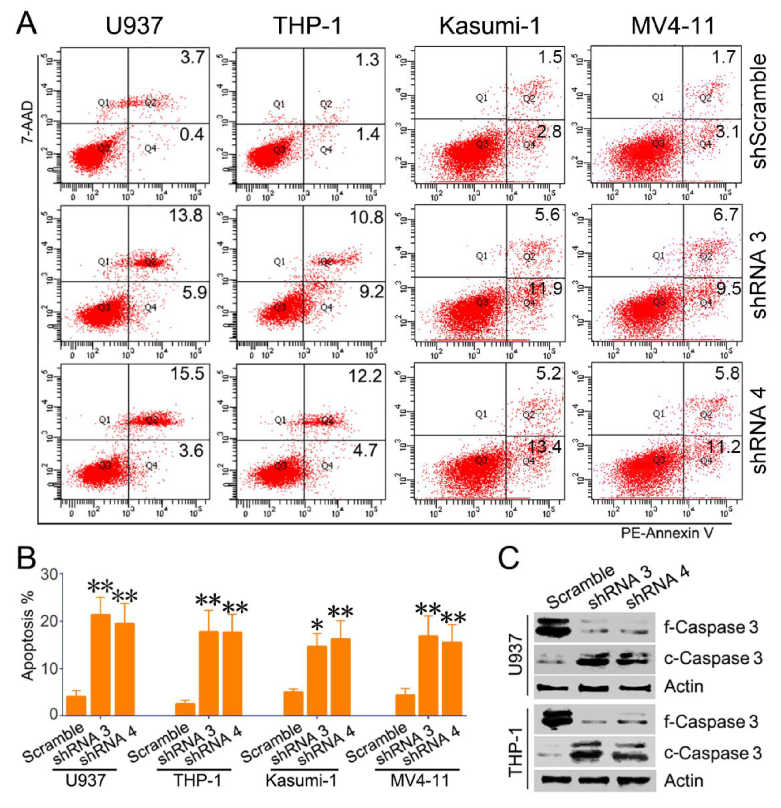 Biomolecules 09 00505 g005 Biomolecules 09 00505 g005