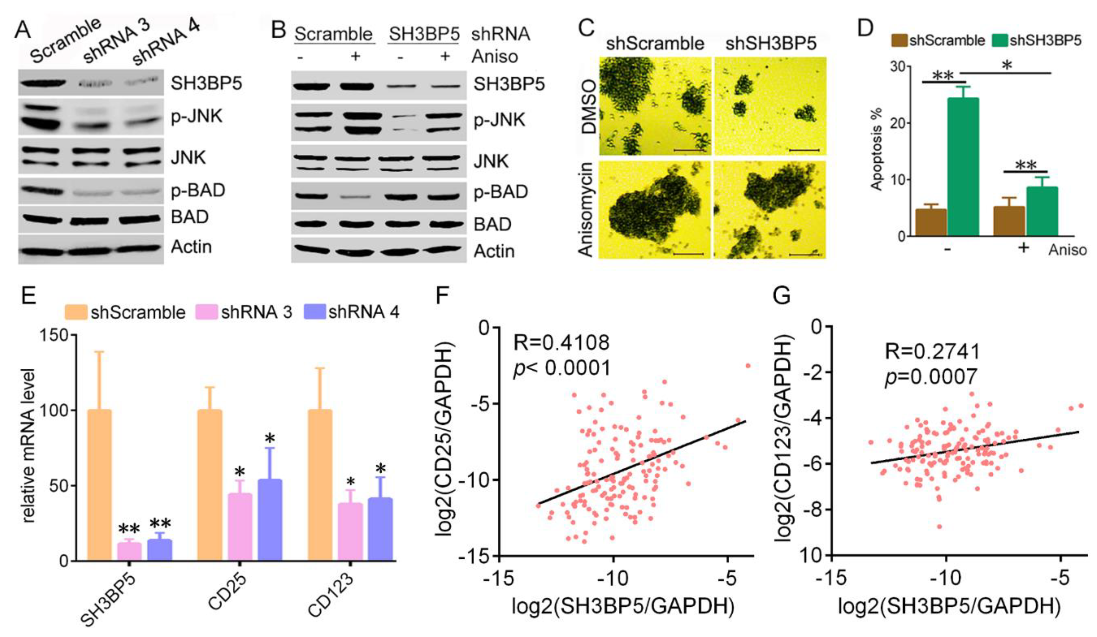 Biomolecules 09 00505 g006 Biomolecules 09 00505 g006