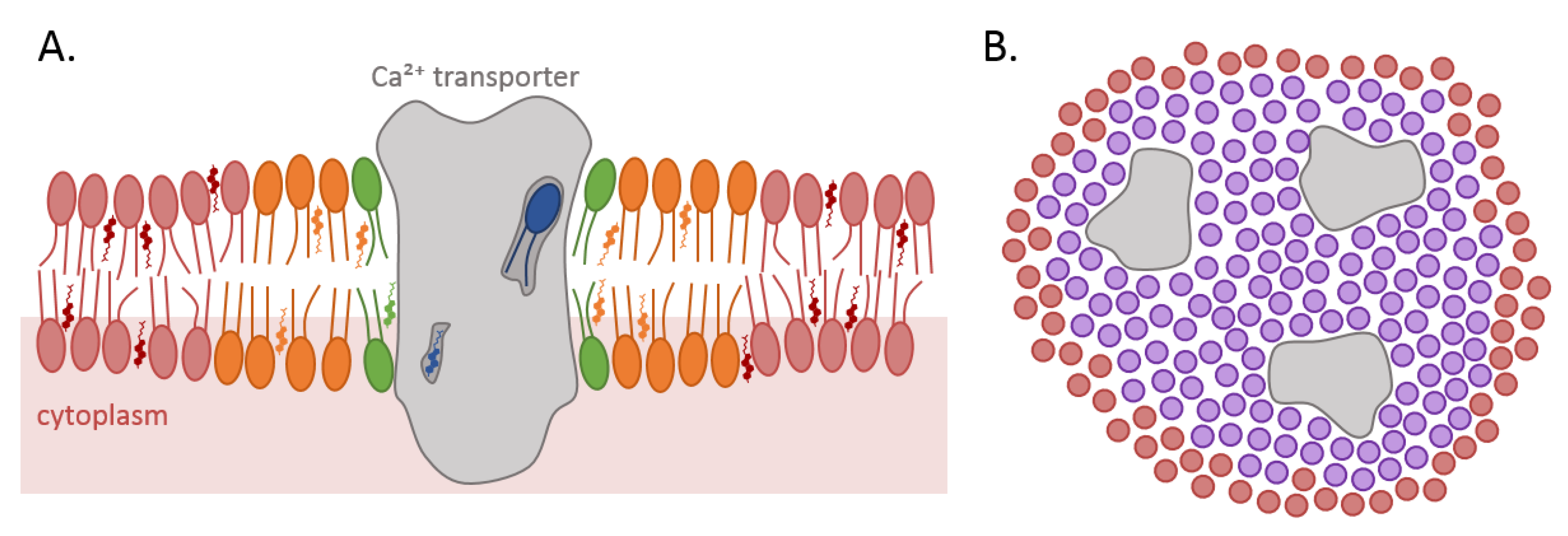 Biomolecules 09 00513 g001
