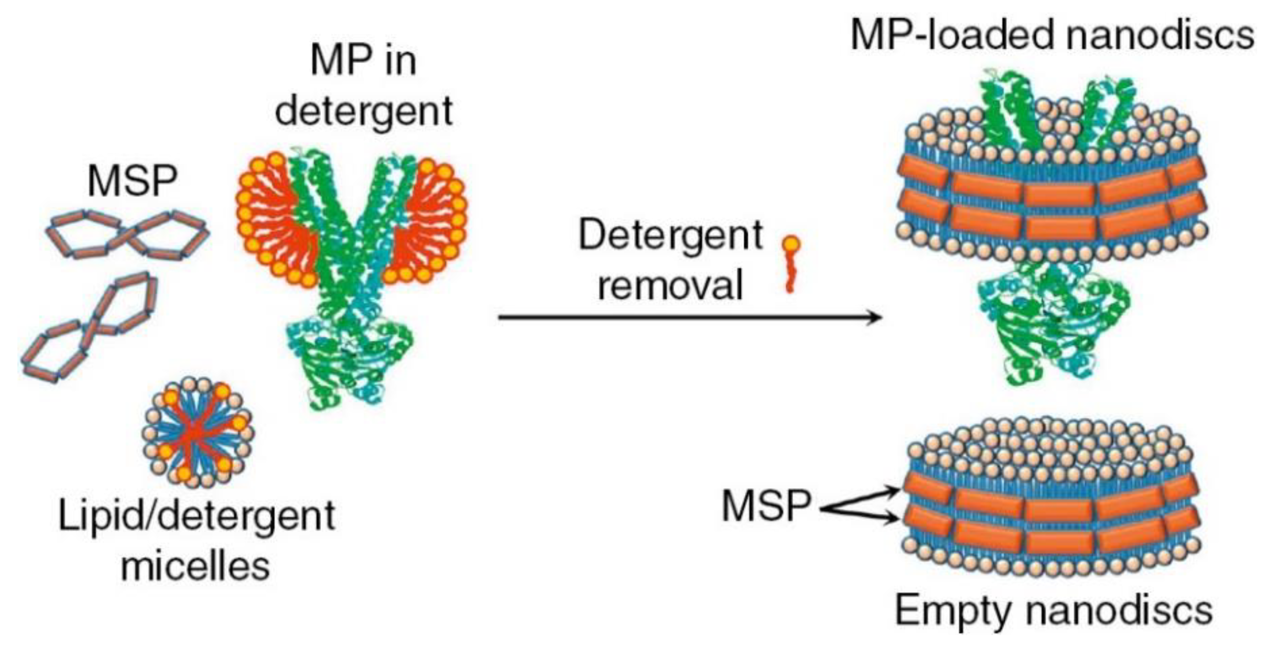 Biomolecules 09 00513 g002