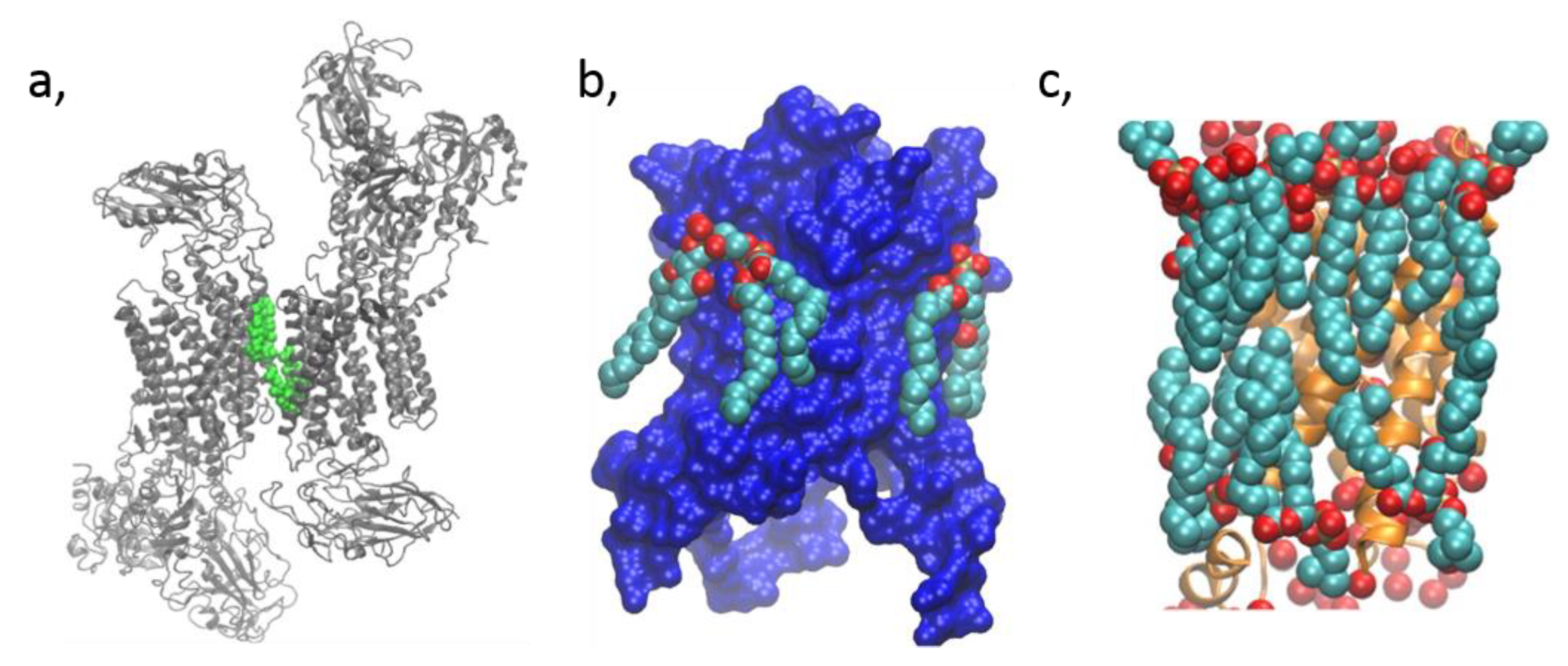 Biomolecules 09 00513 g003