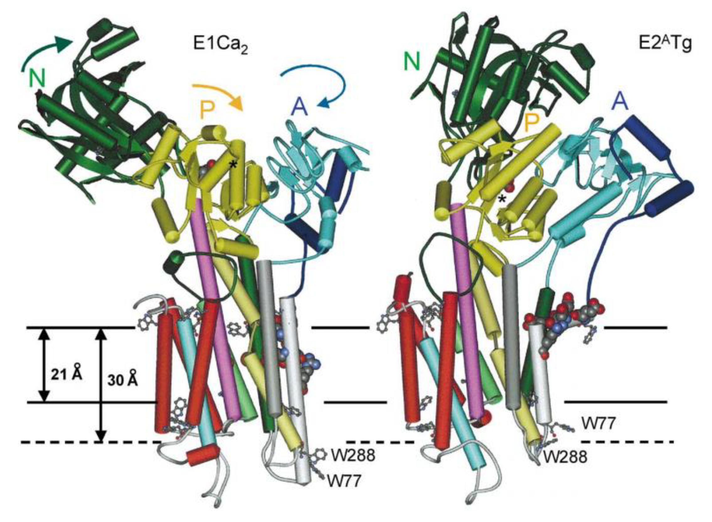 Biomolecules 09 00513 g006