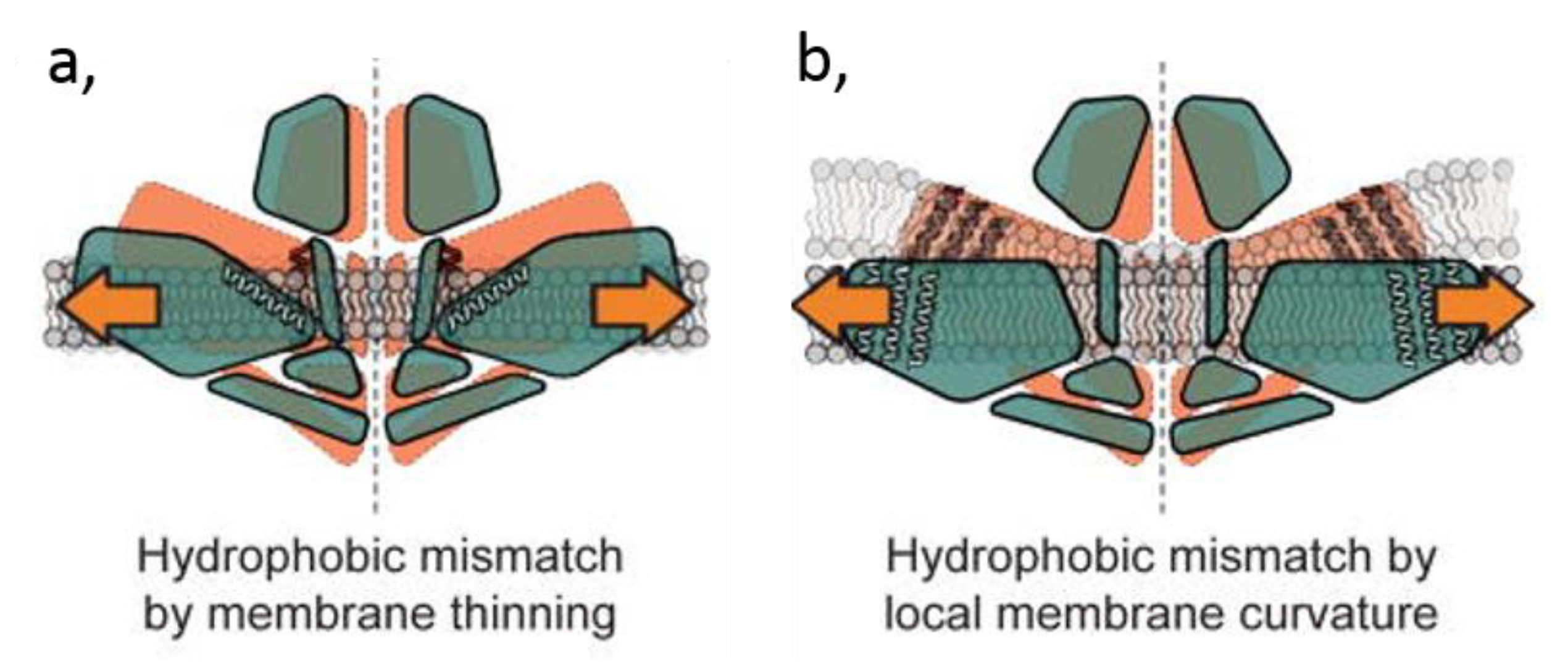 Biomolecules 09 00513 g007
